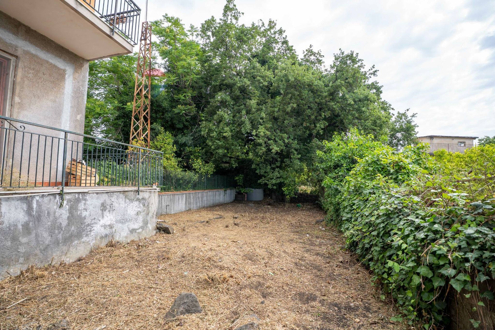 Giardino