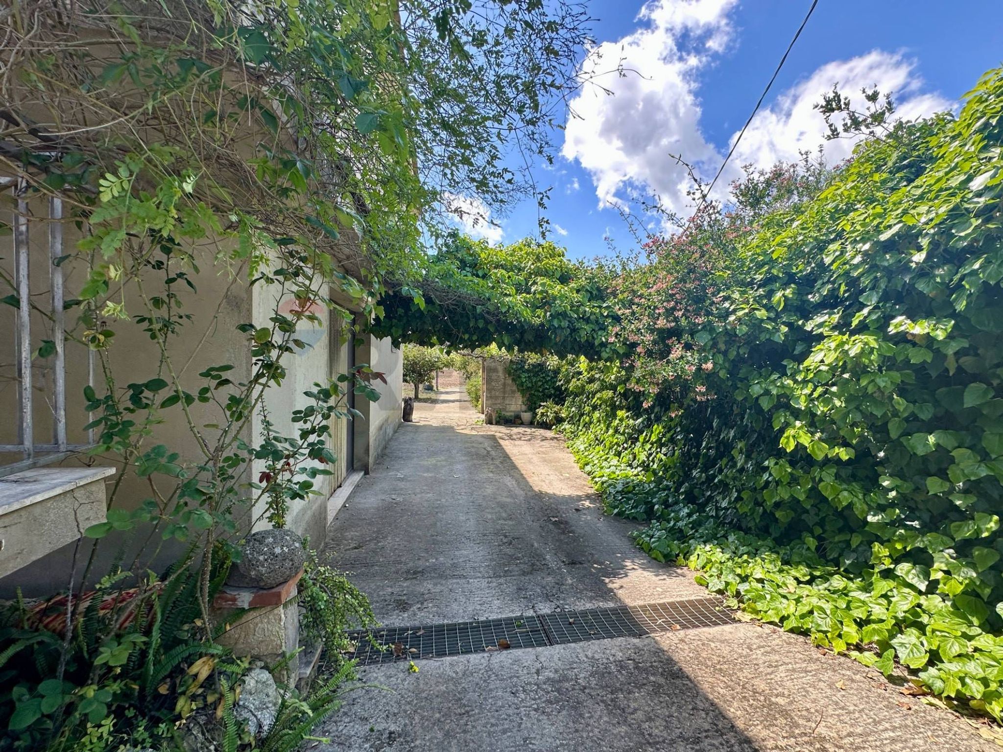 Giardino
