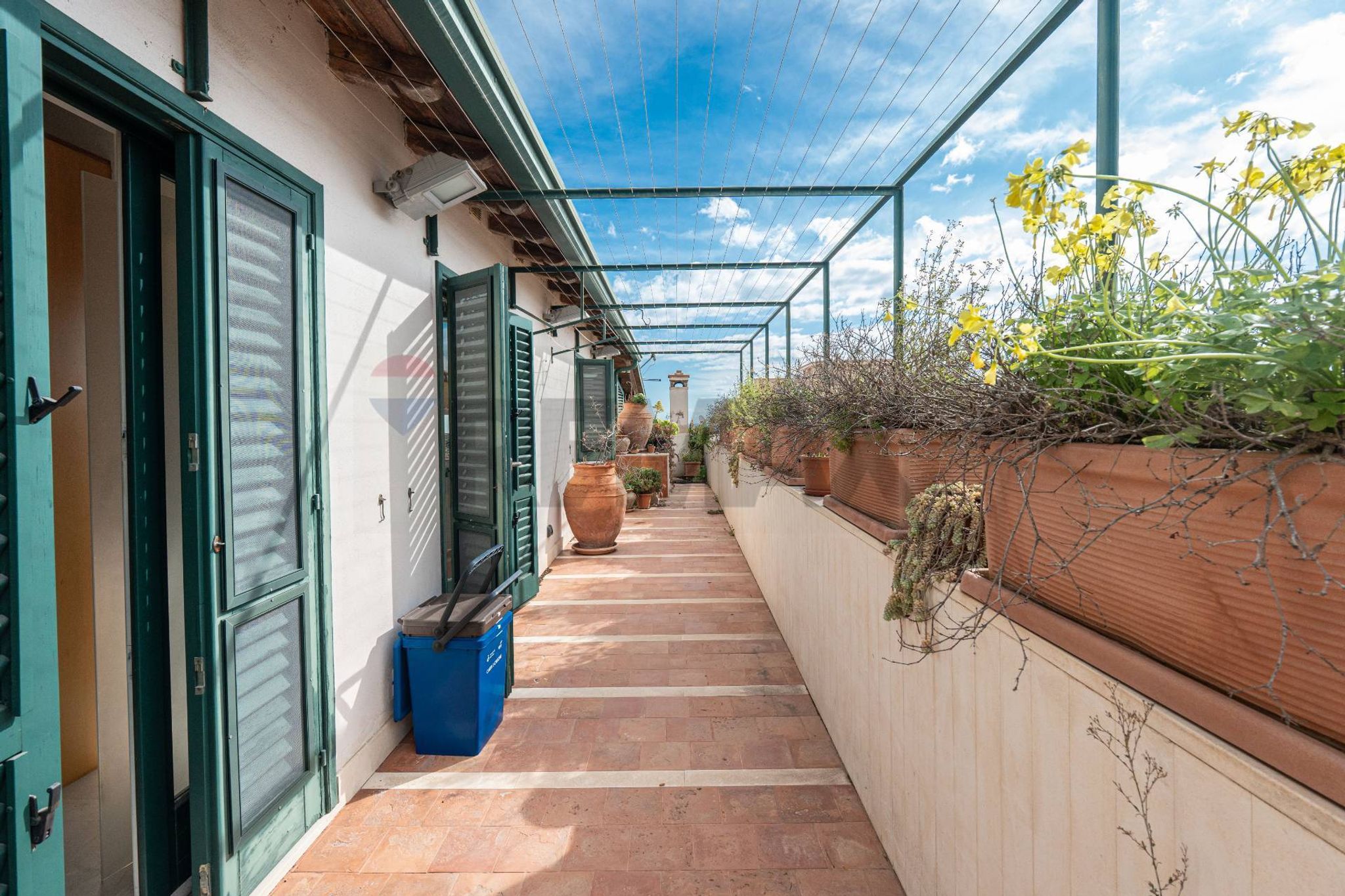 Terrazza