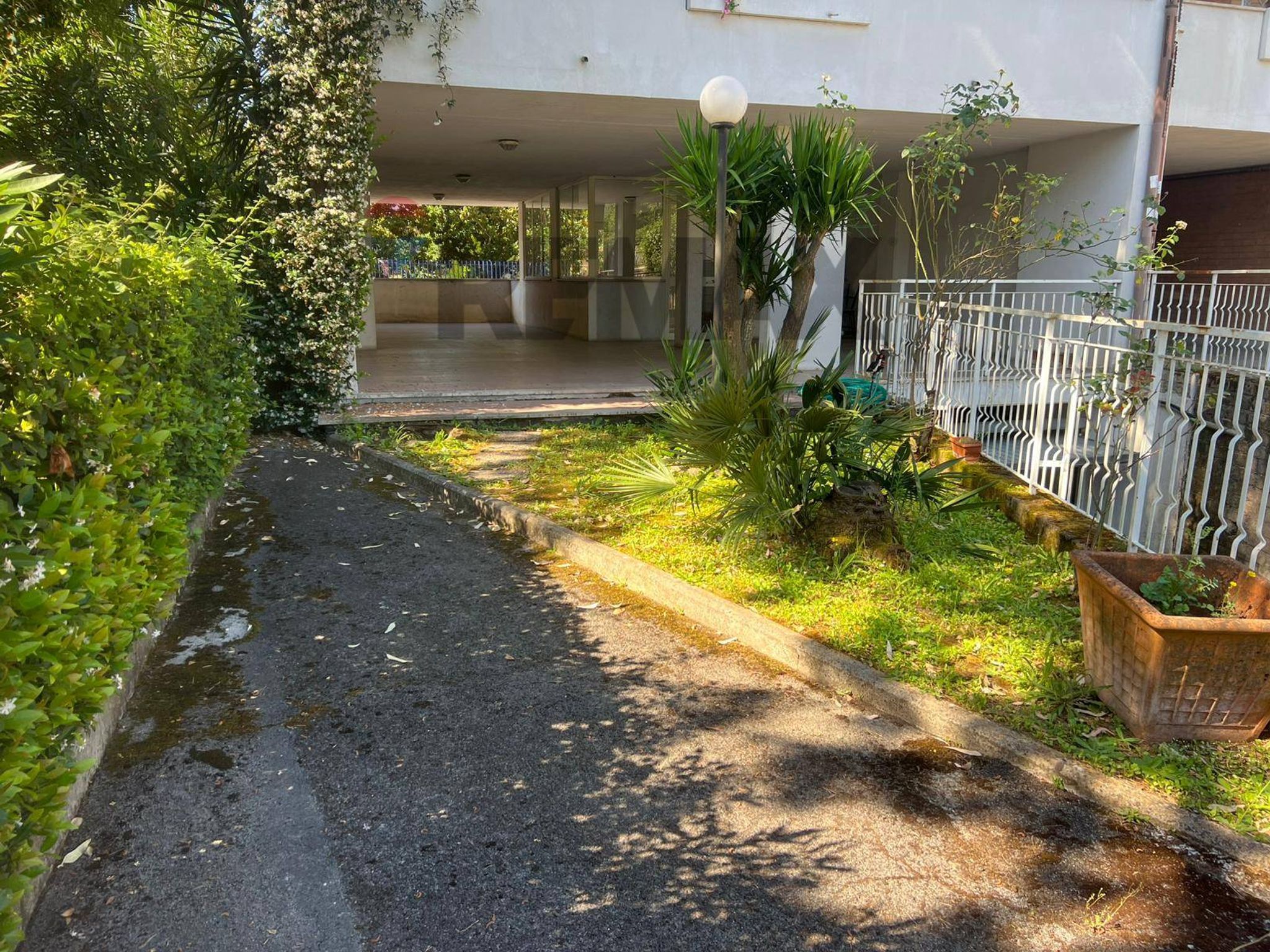 Giardino