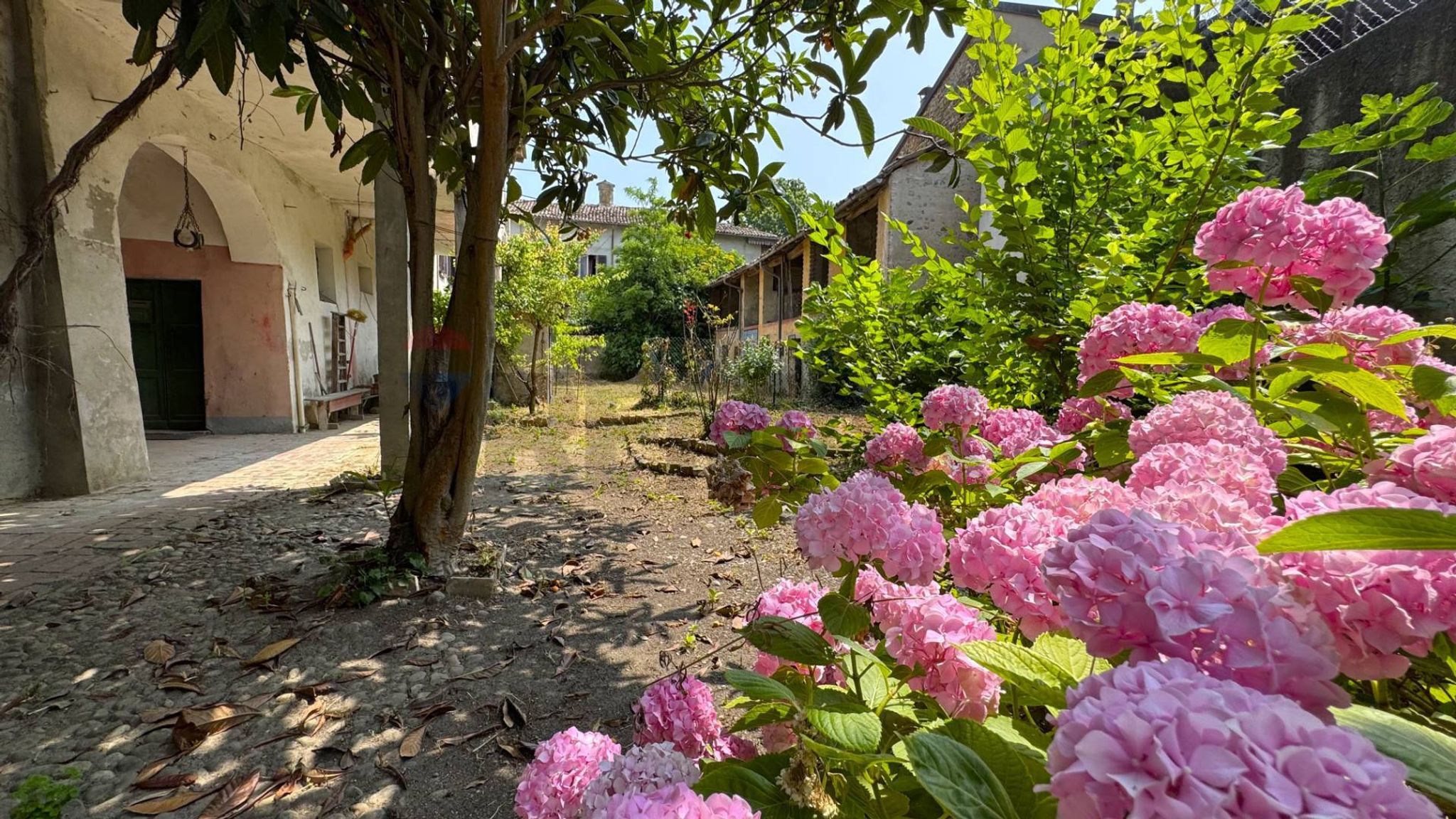 Giardino