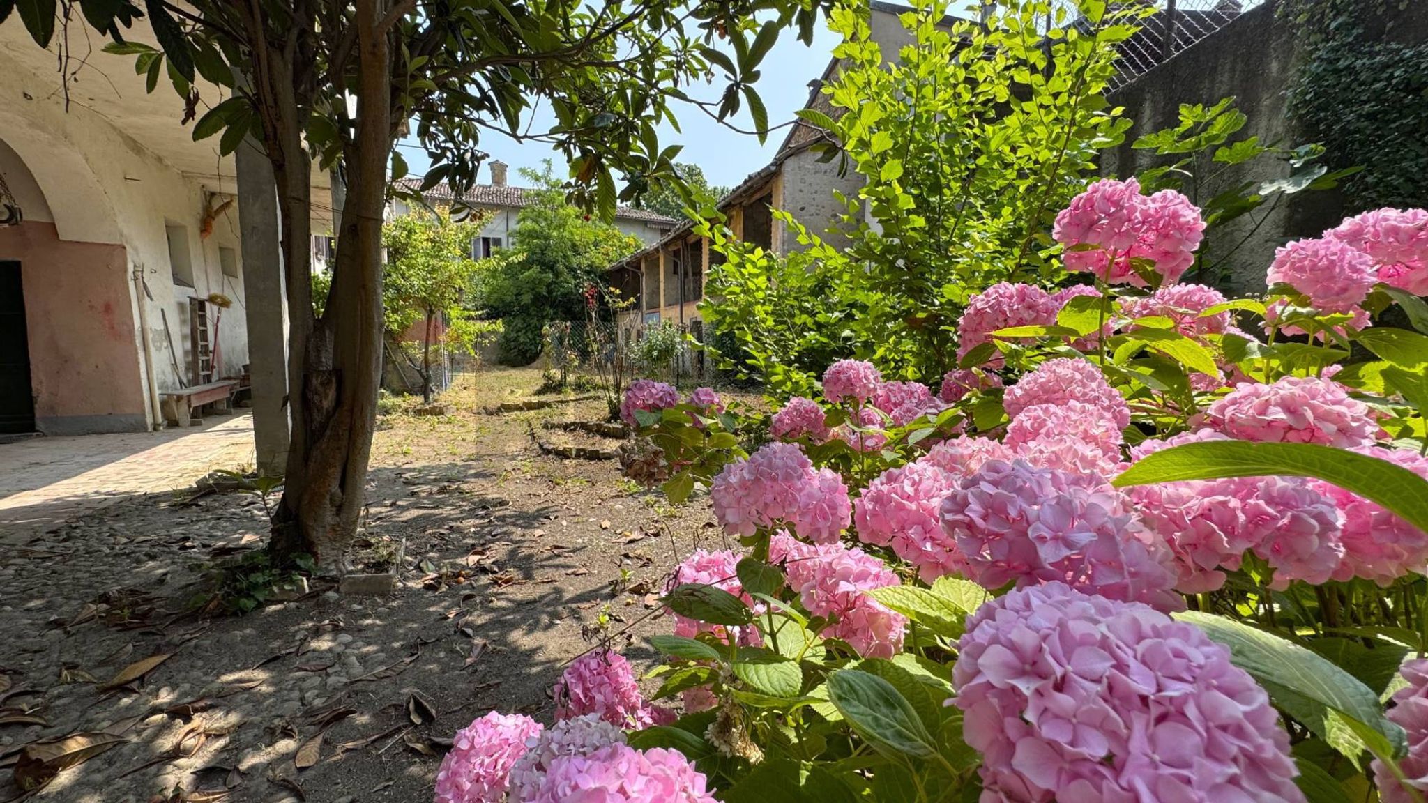 Giardino