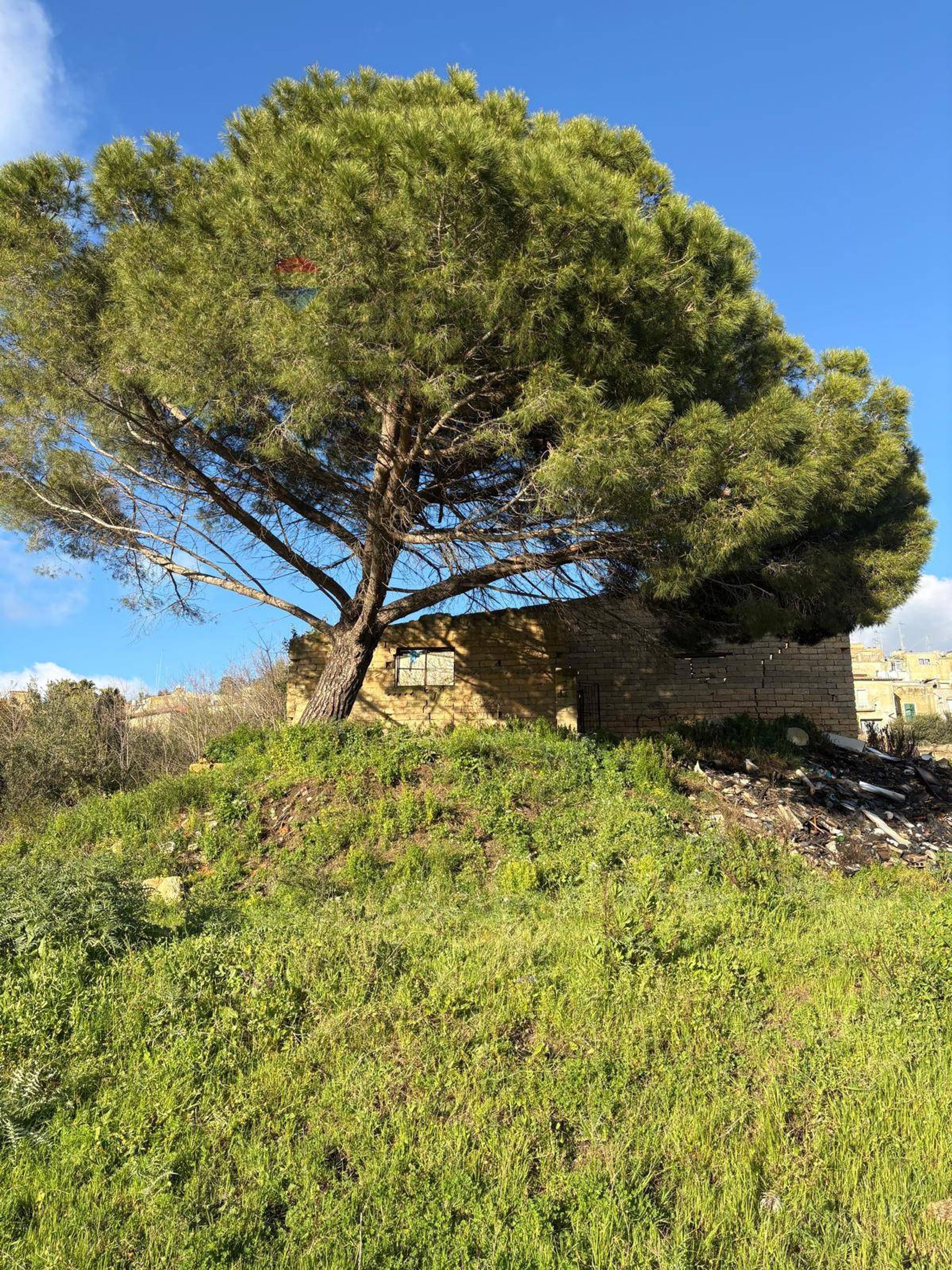 Giardino