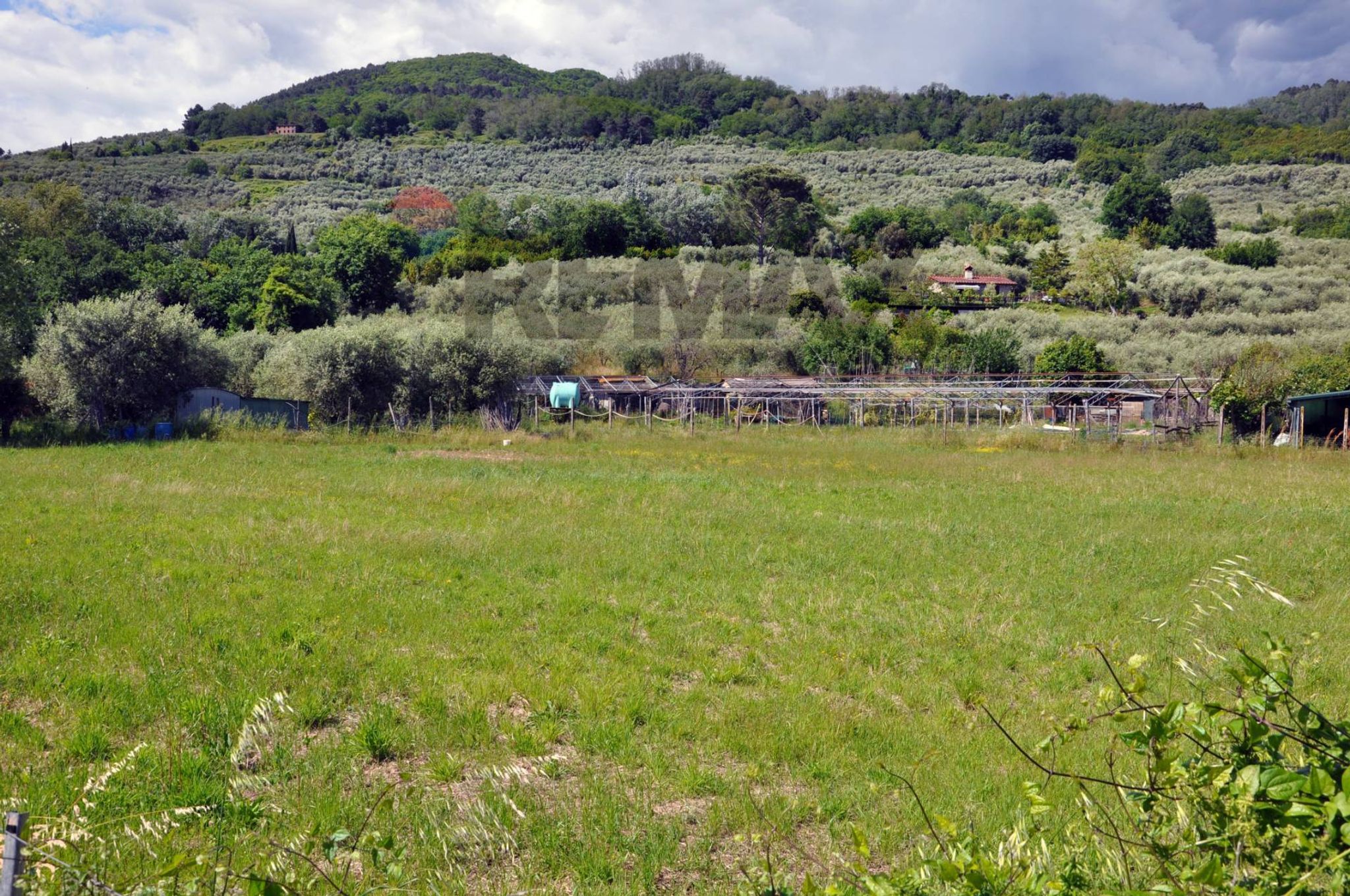 Vista delle montagne