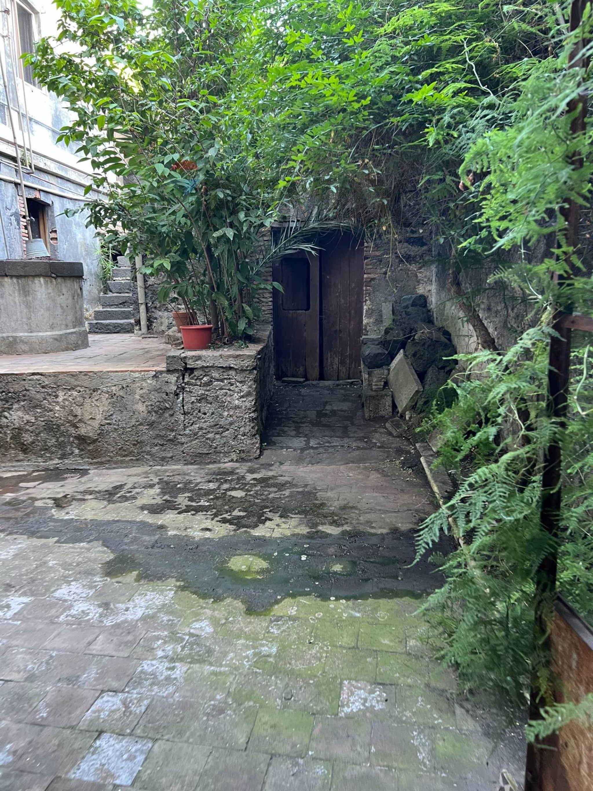Giardino