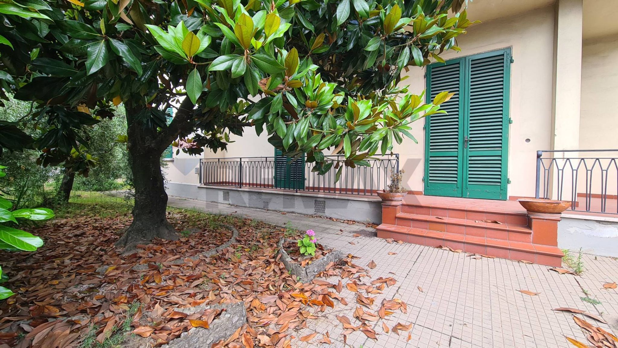 Giardino