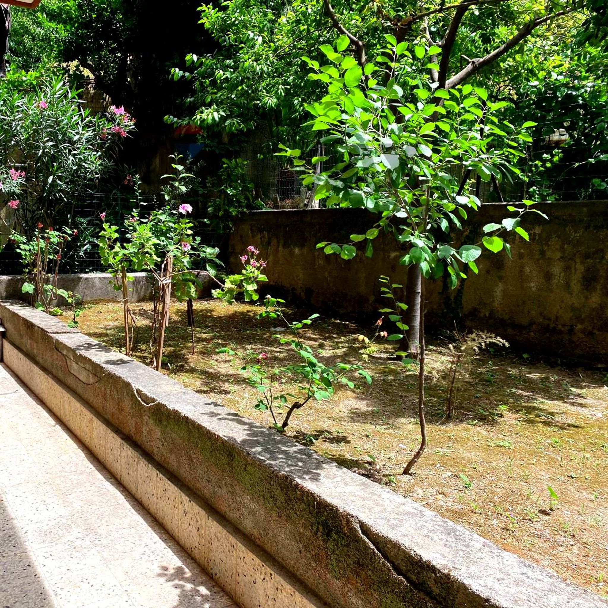 Giardino