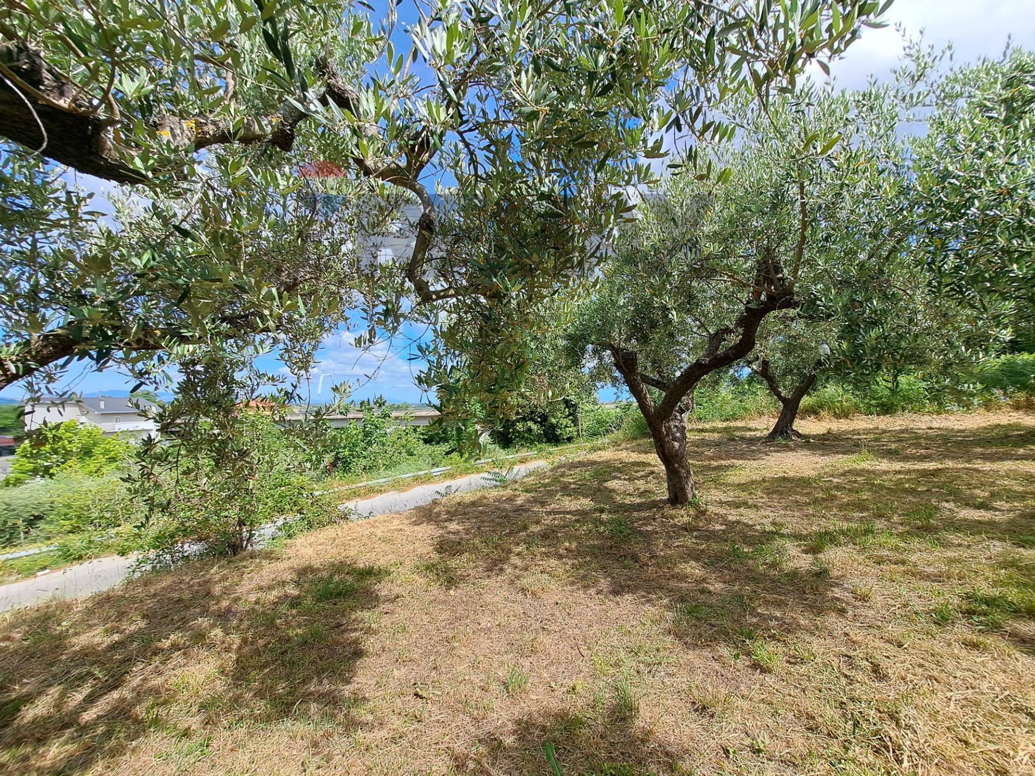 Property in Lanciano