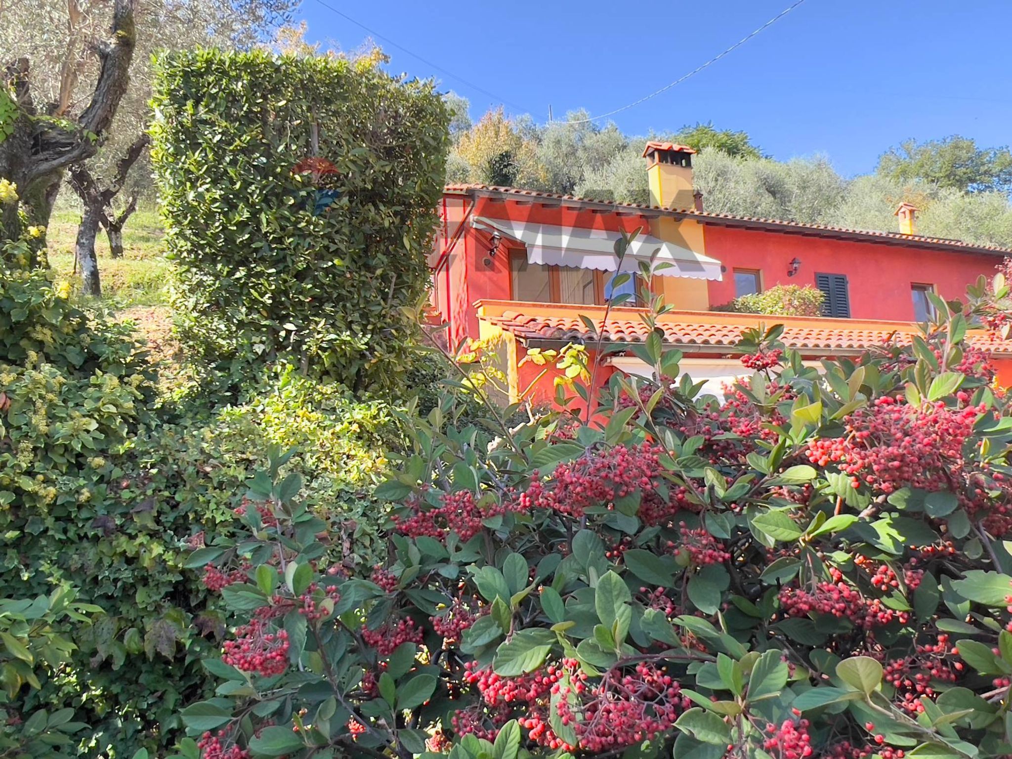 Giardino
