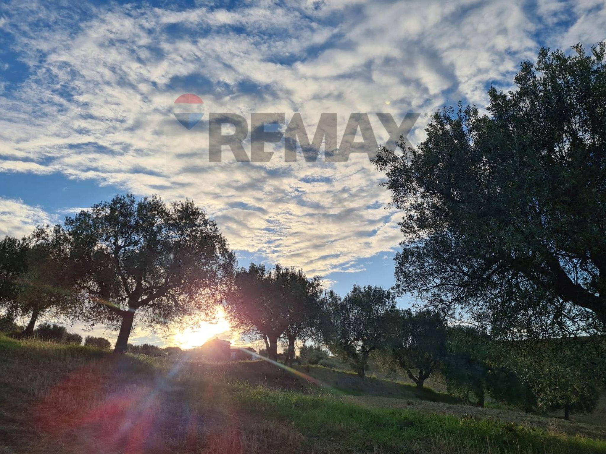 Property in Alba Adriatica