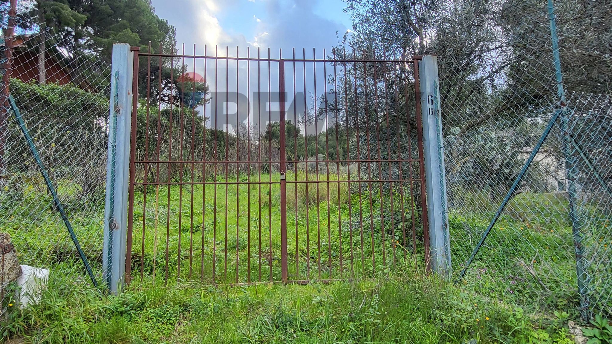 Giardino