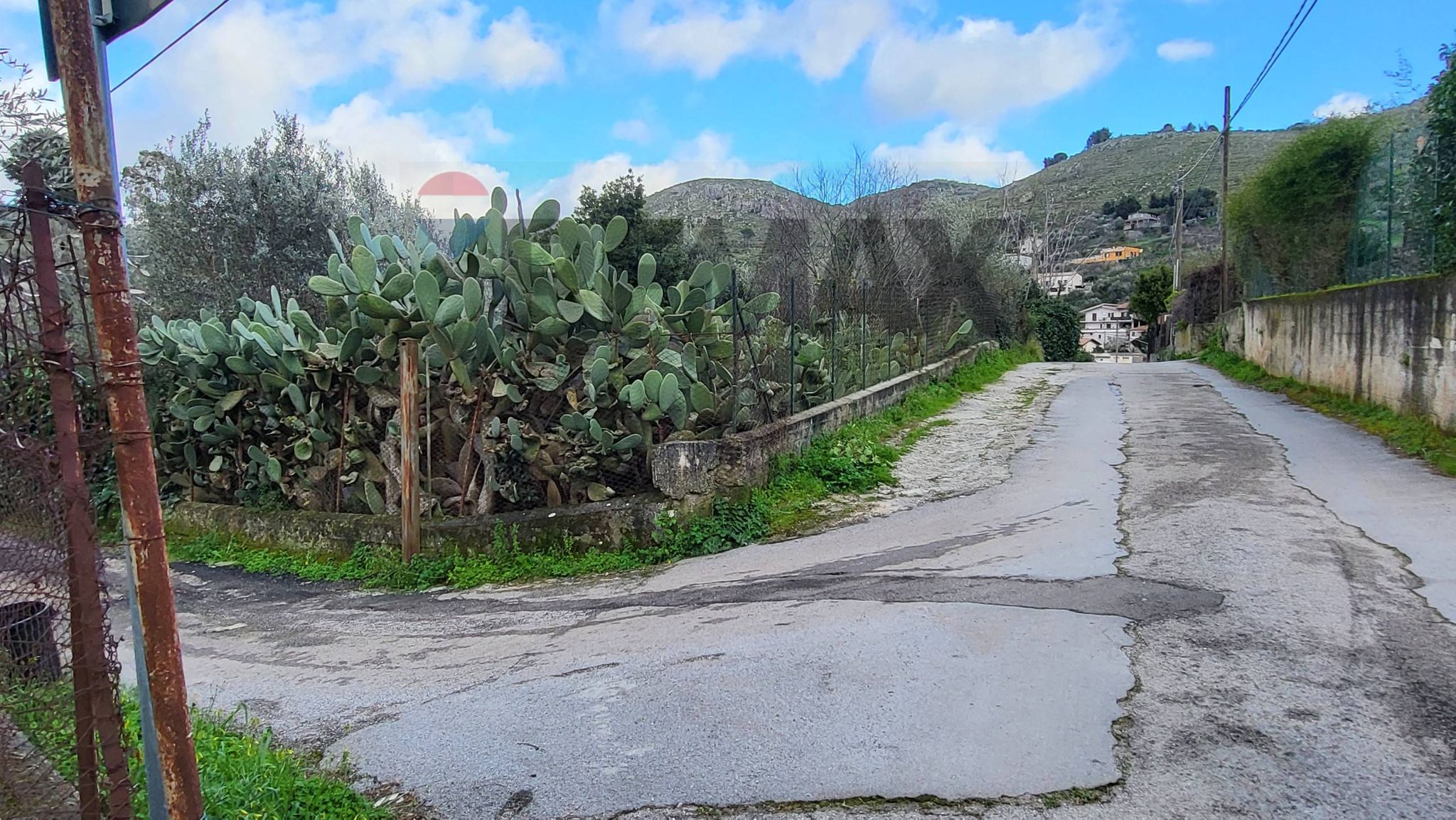Vista delle montagne