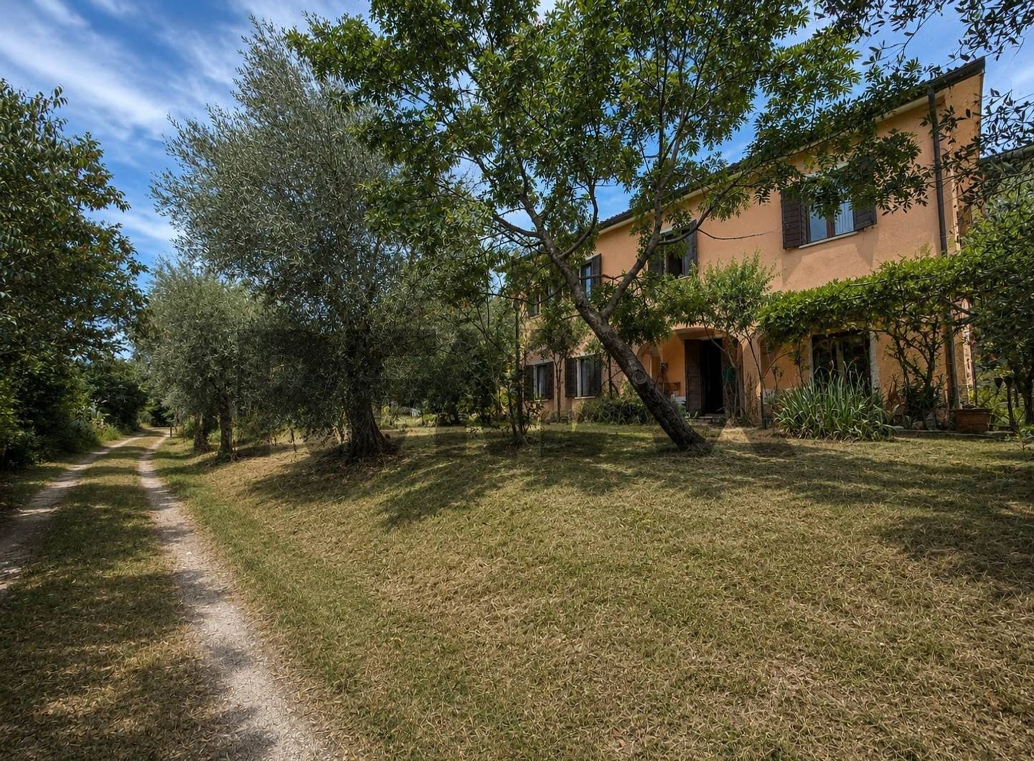 Giardino