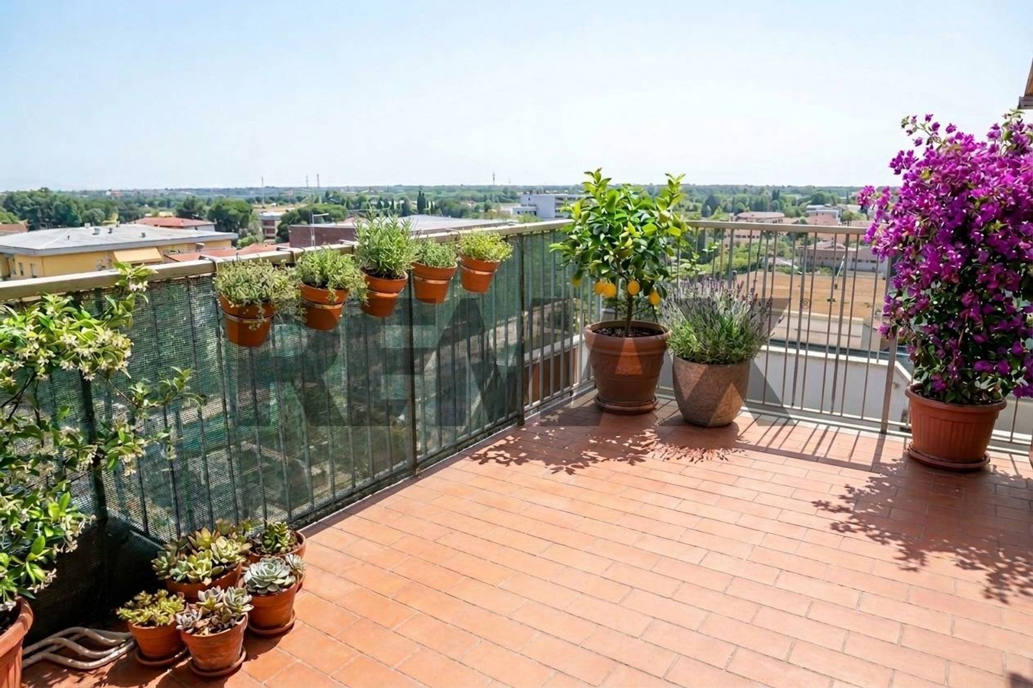 Terrazza