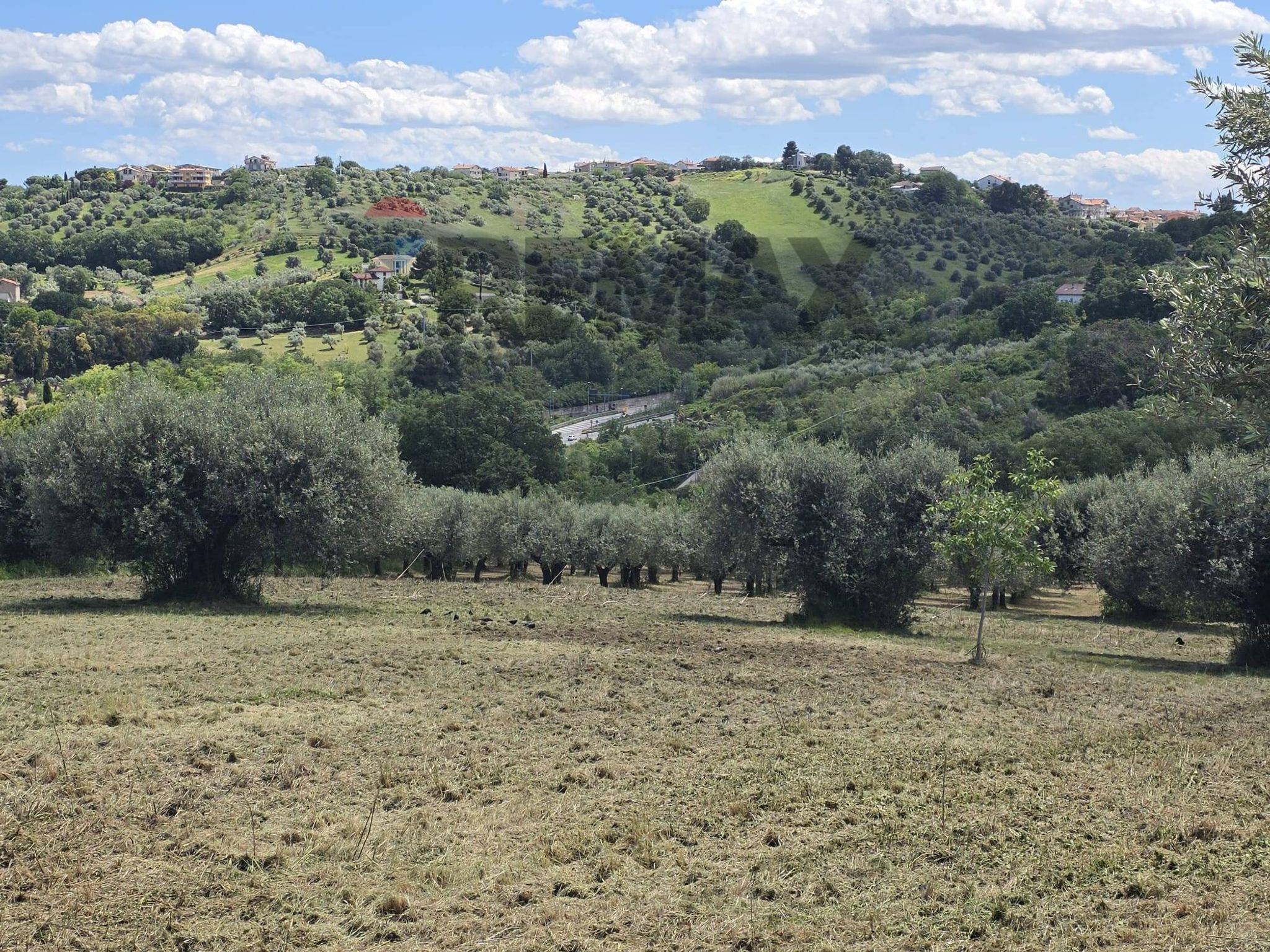 Vista delle montagne