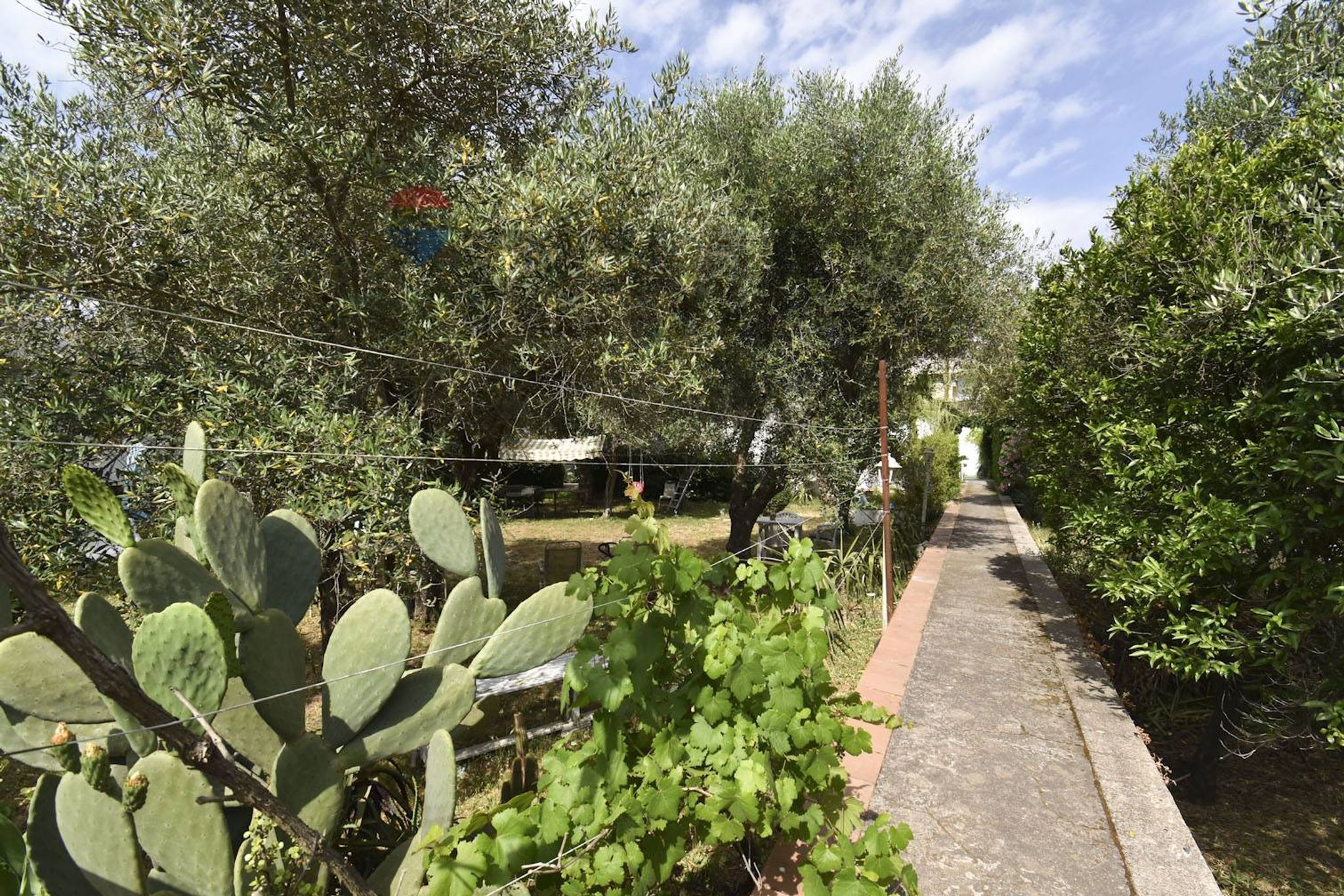 Giardino