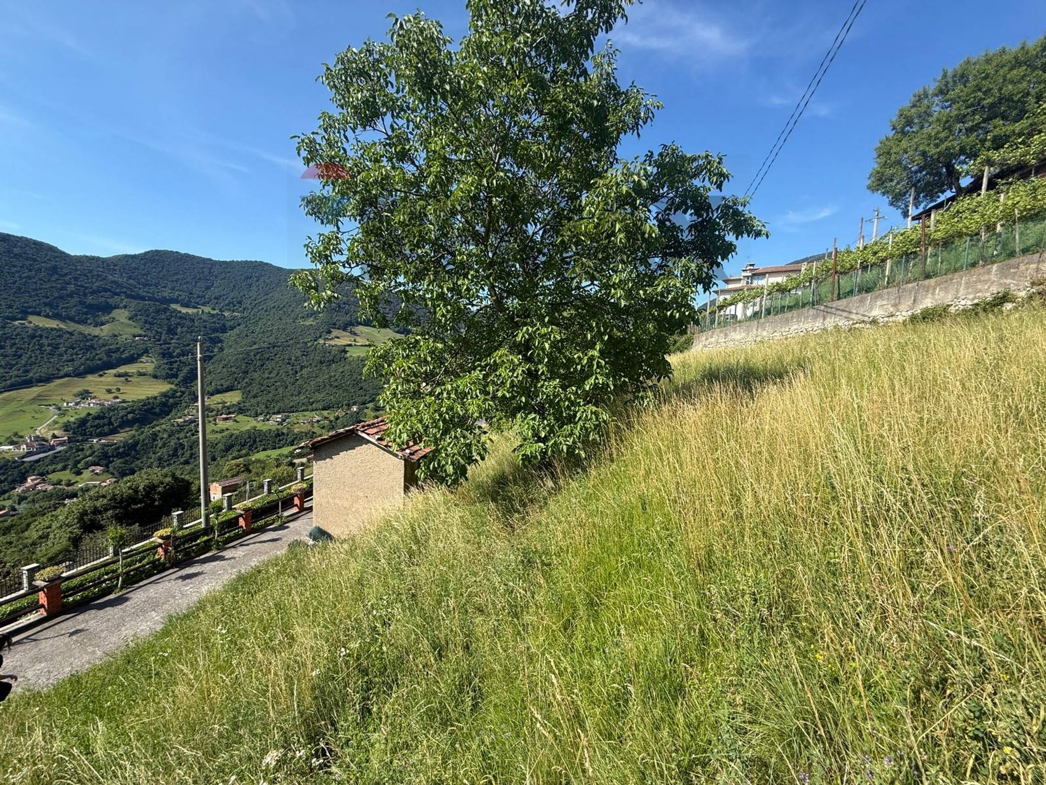 Vista delle montagne
