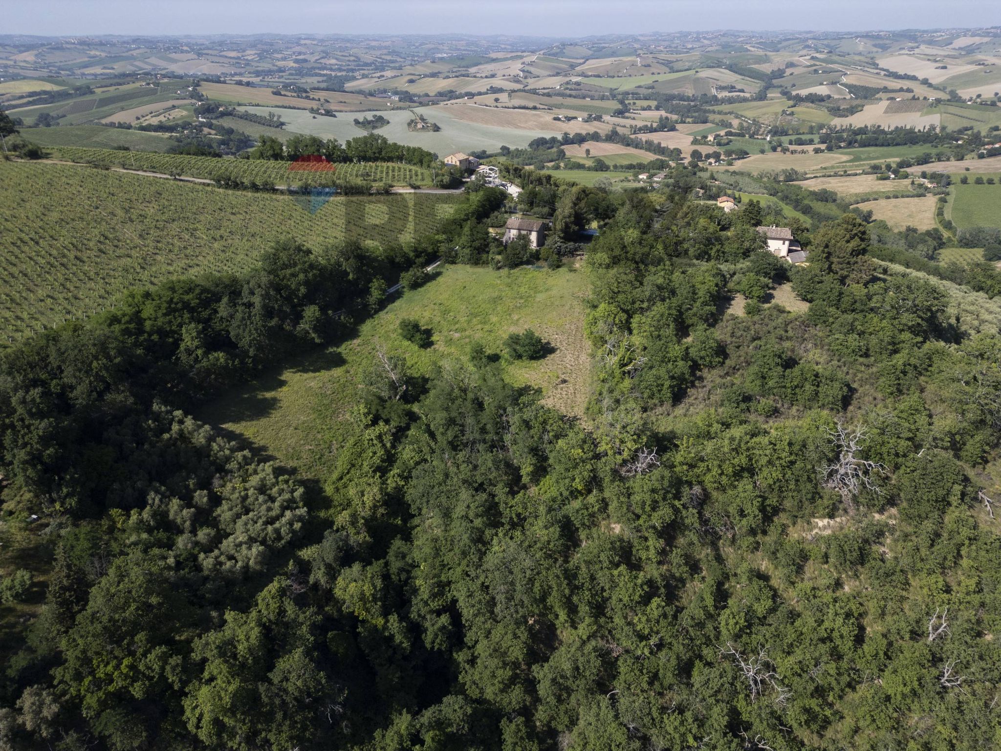 Property in Montecarotto