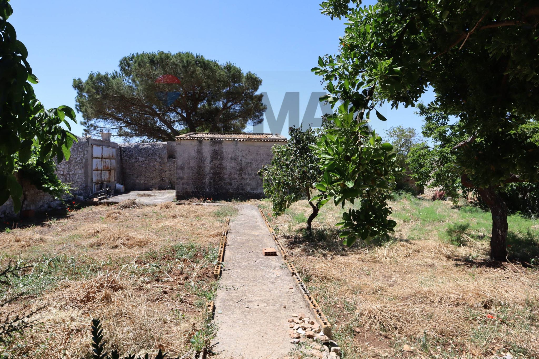 Giardino