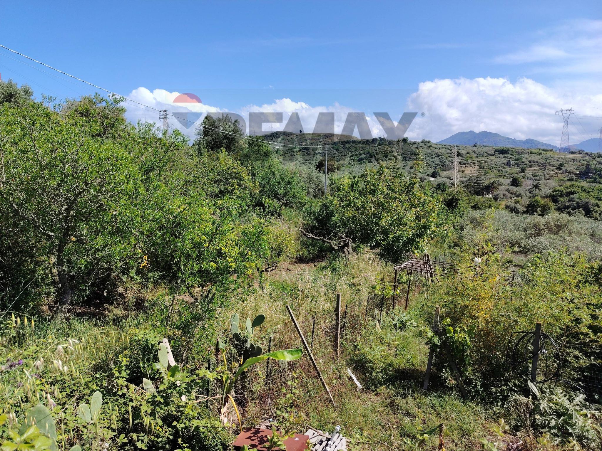 Vista delle montagne