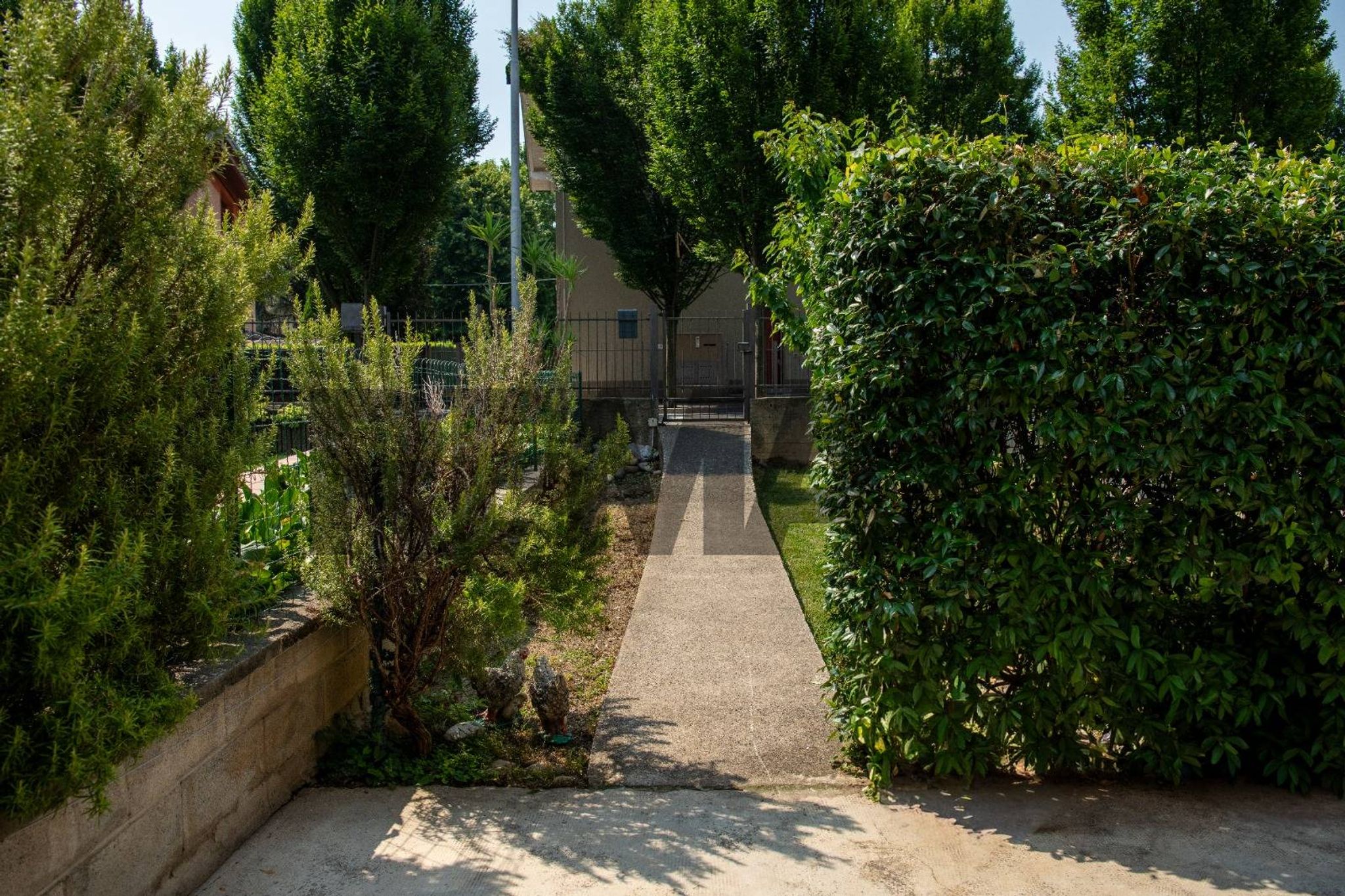 Giardino