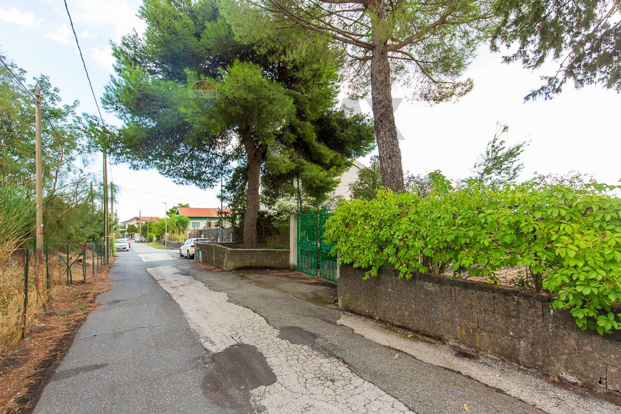 Giardino