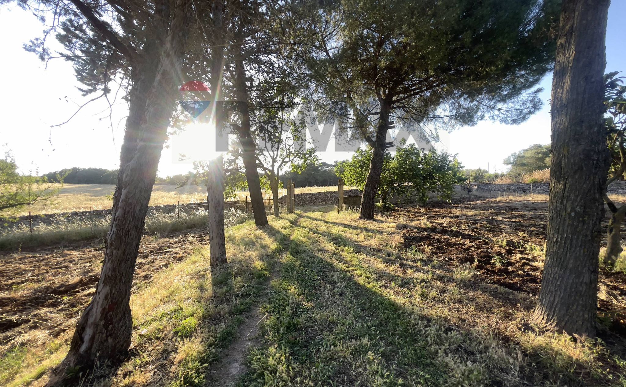 Property in Santeramo in Colle
