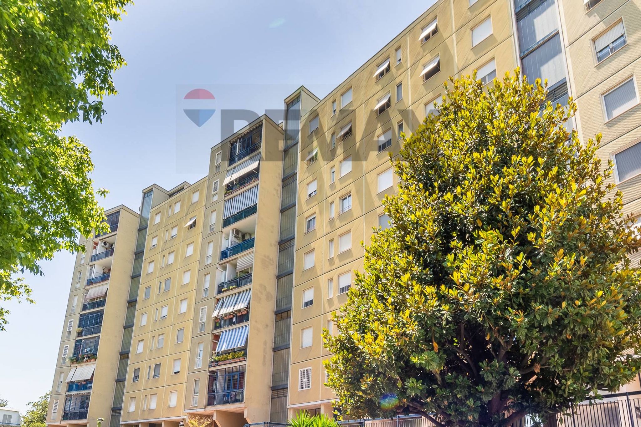 Property in Roma