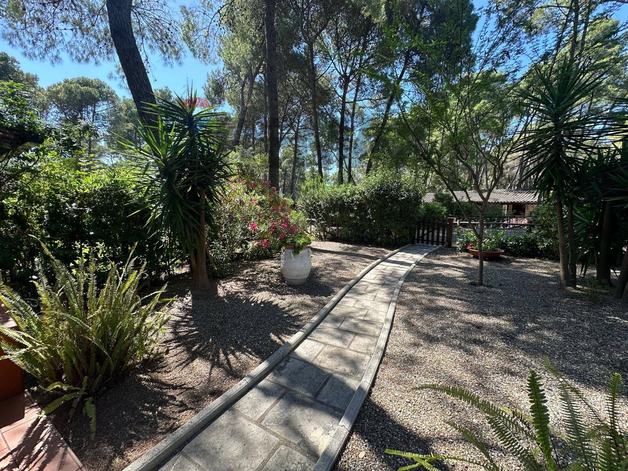 Giardino