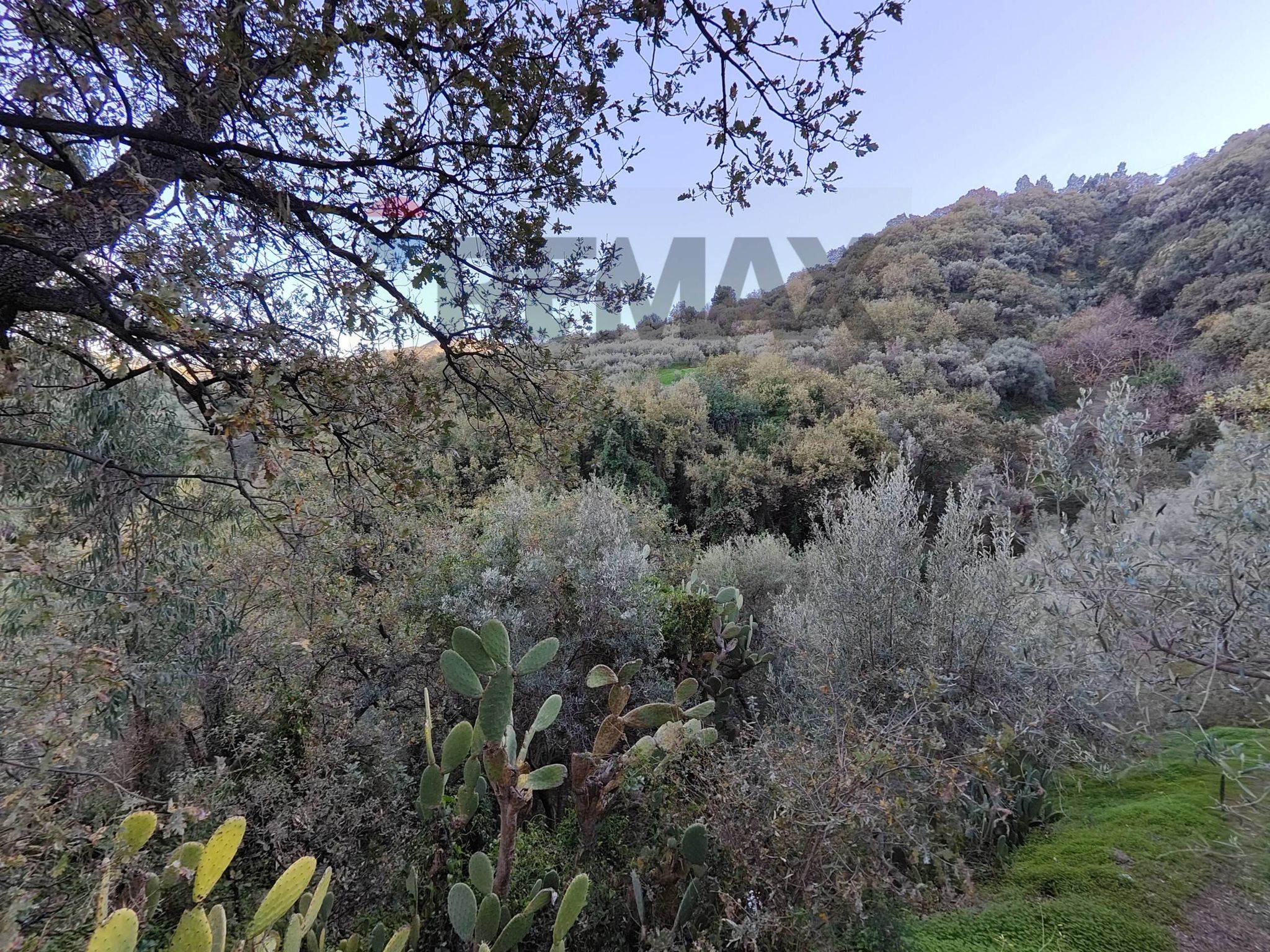 Vista delle montagne