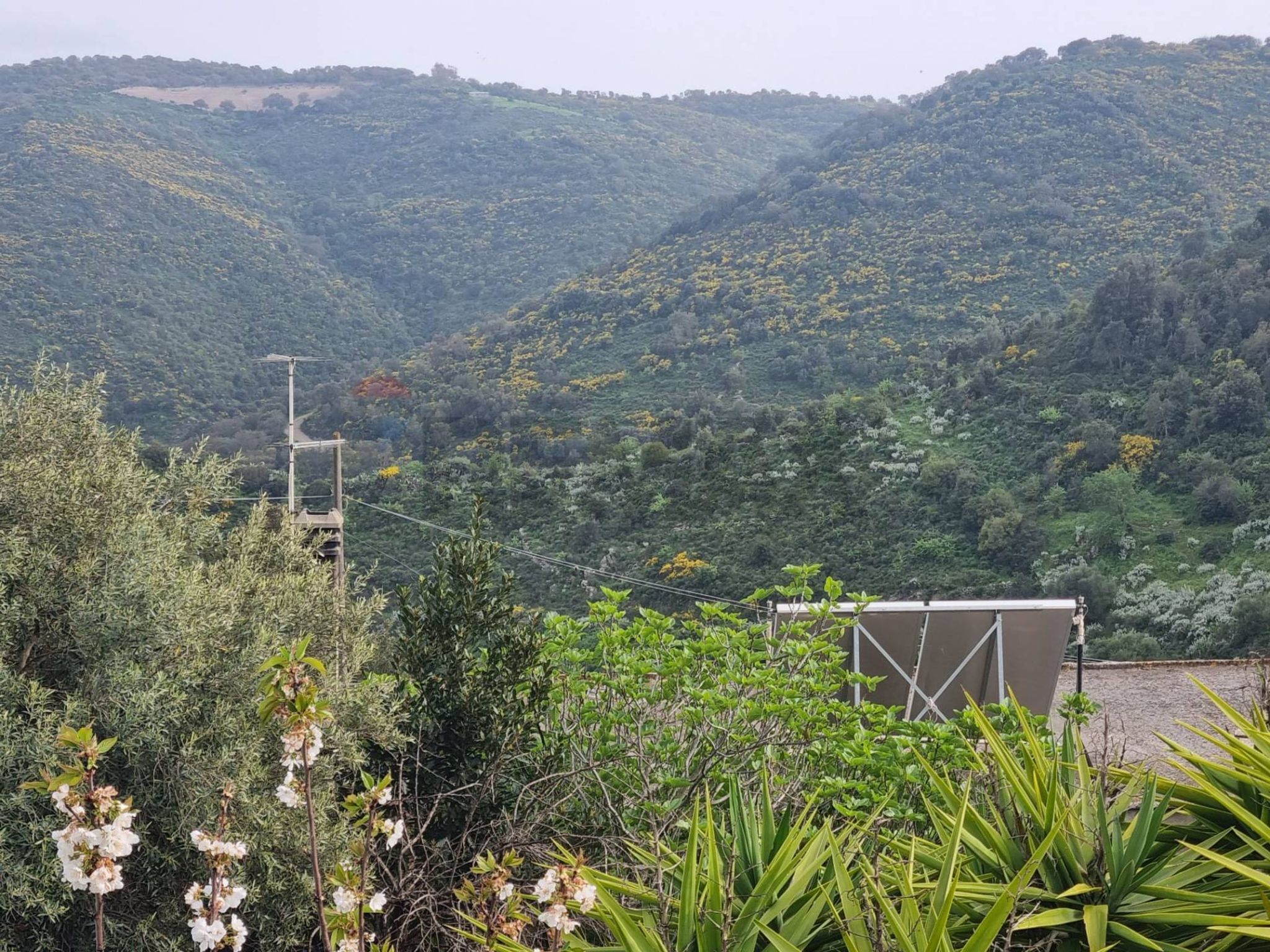 Vista delle montagne