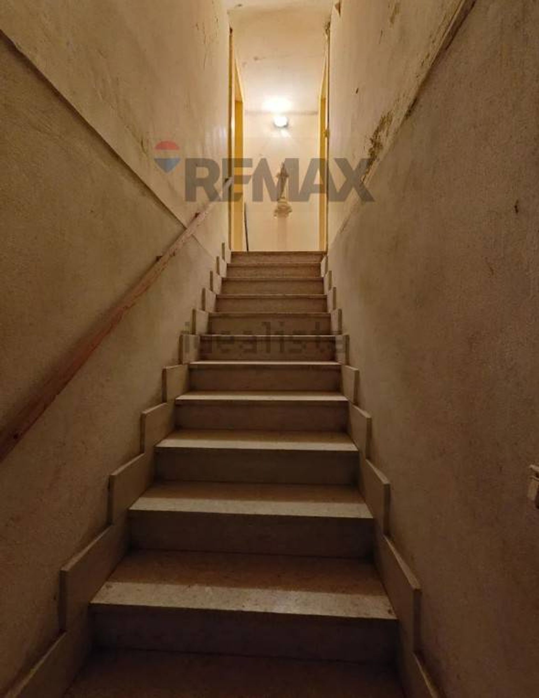 Scale