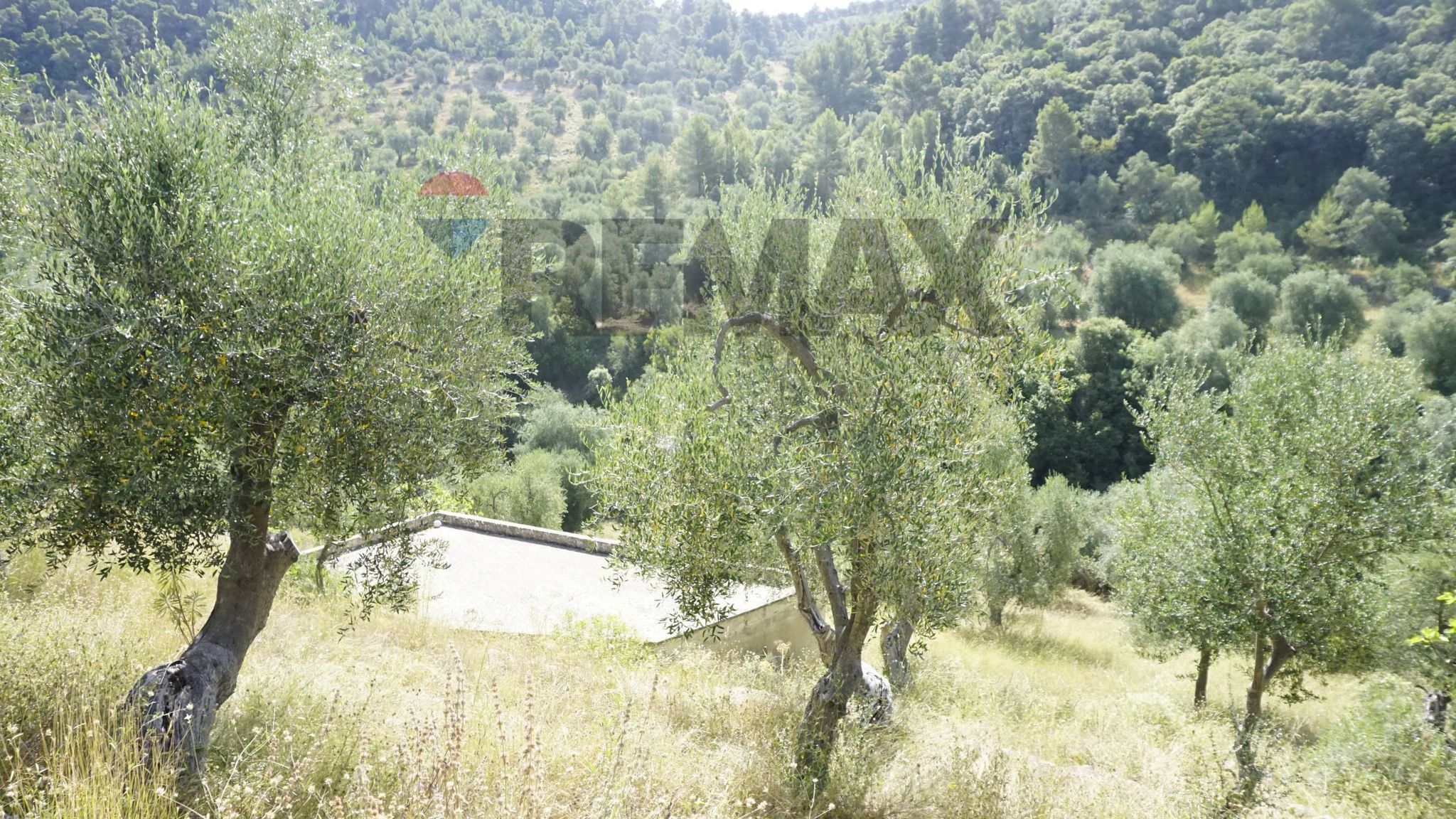Vista delle montagne