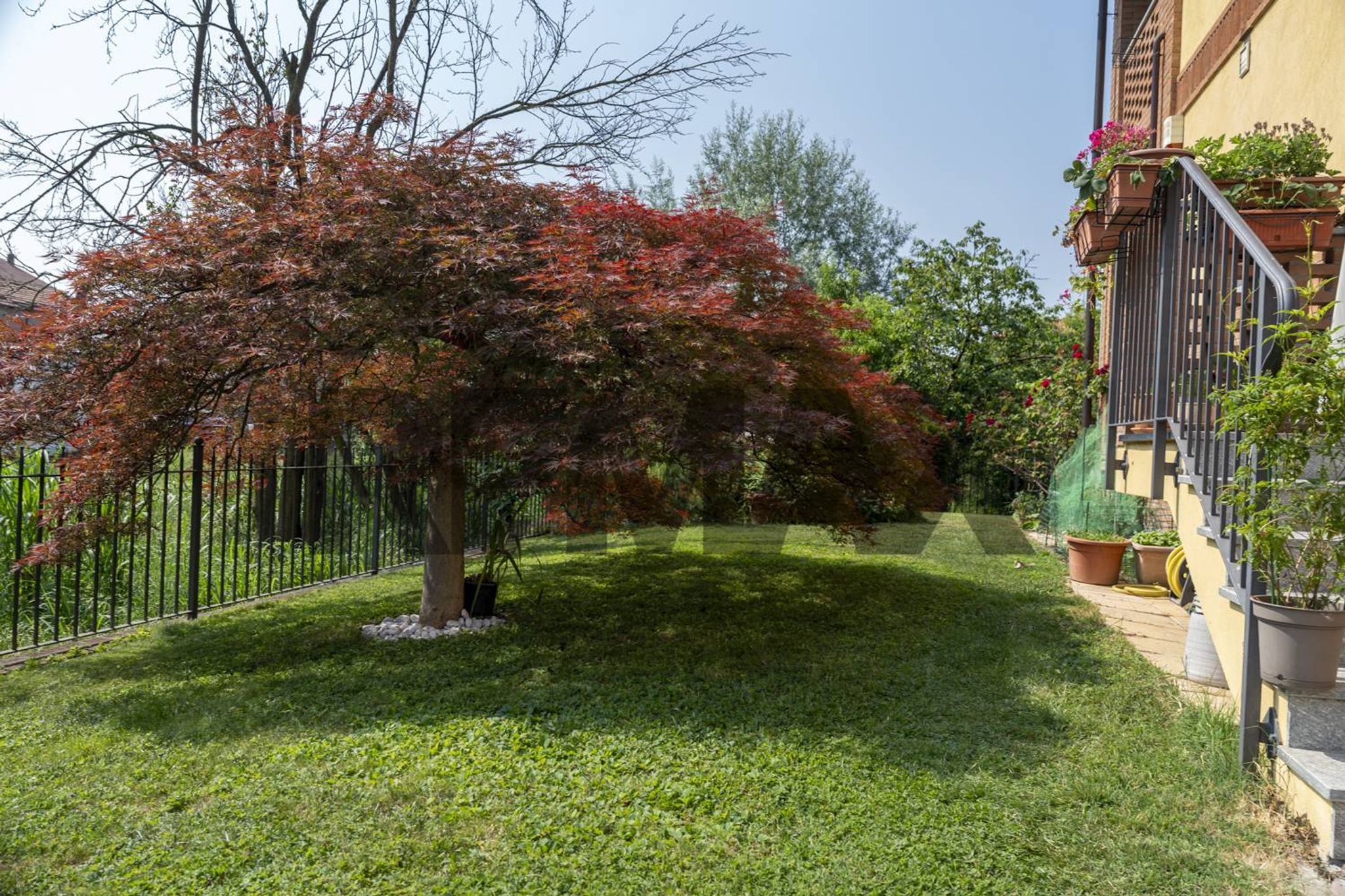 Giardino