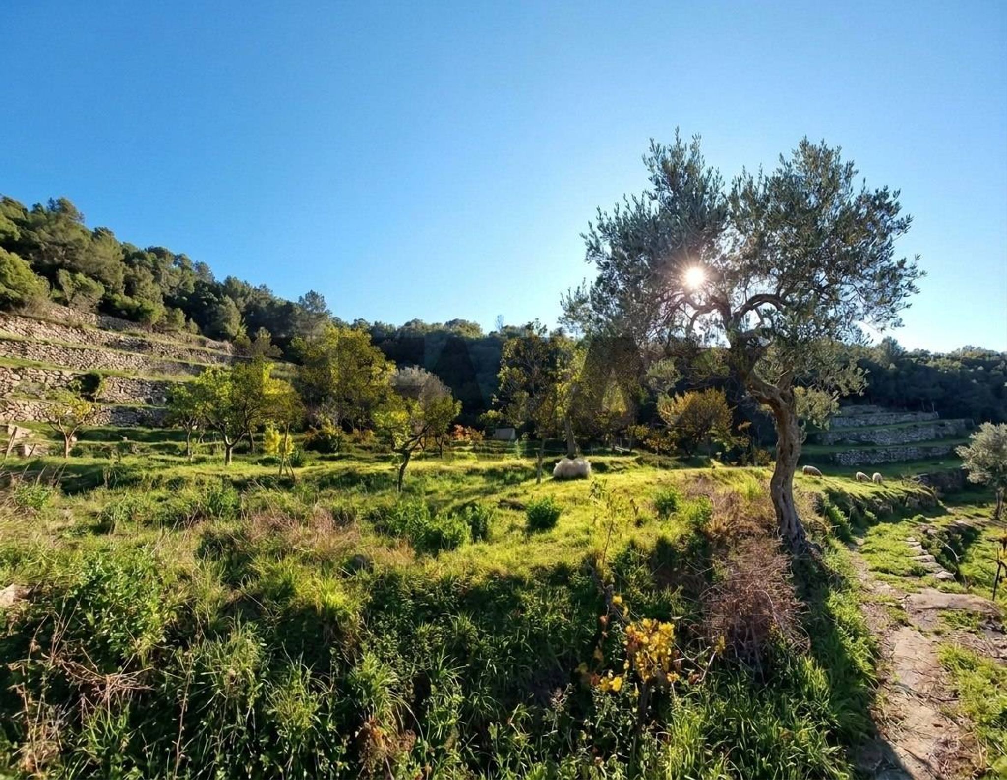 Vista delle montagne