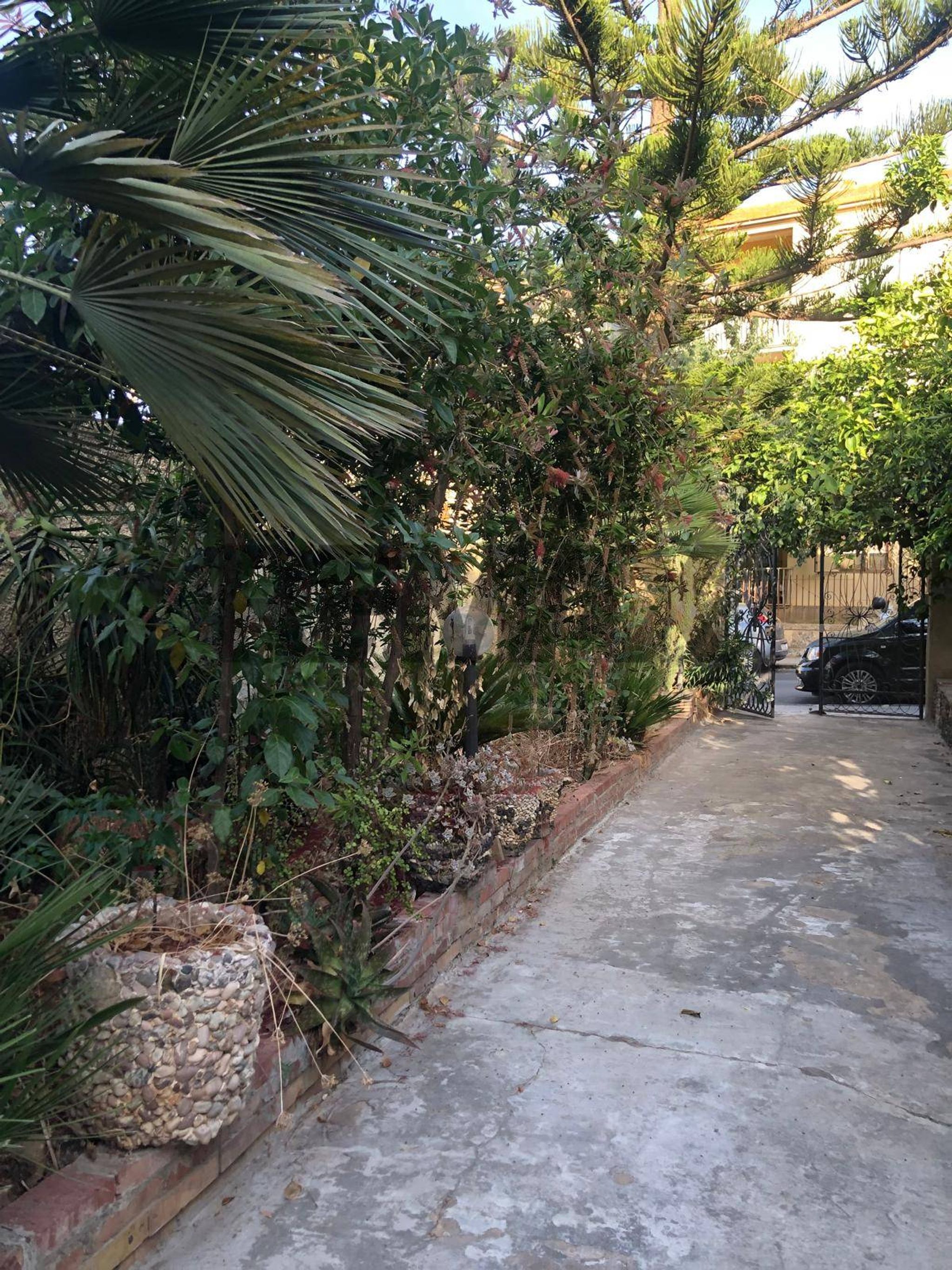 Giardino