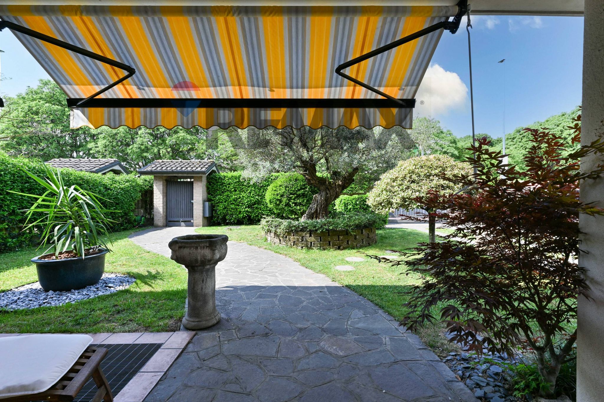 Giardino