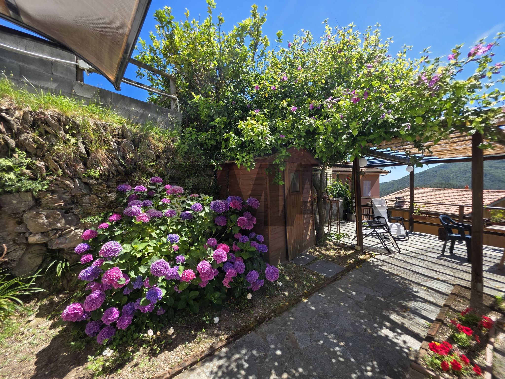 Giardino