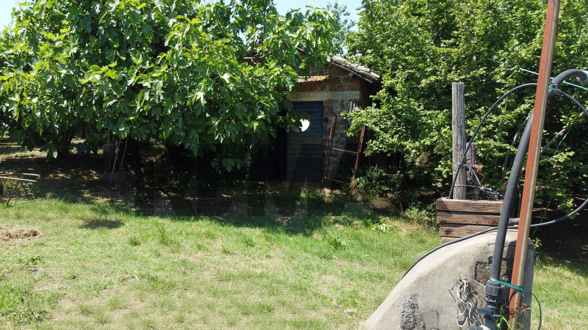 Giardino