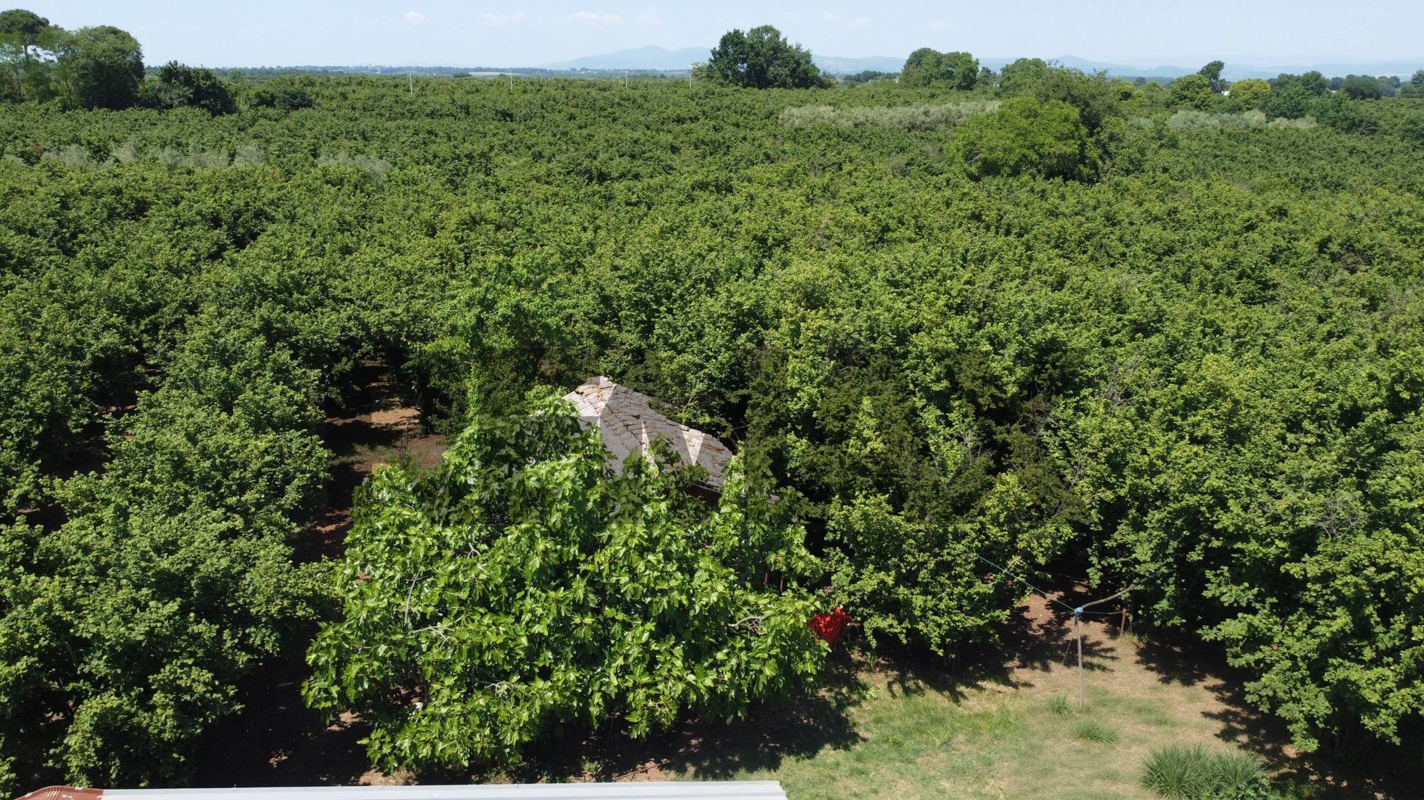 Property in Vasanello