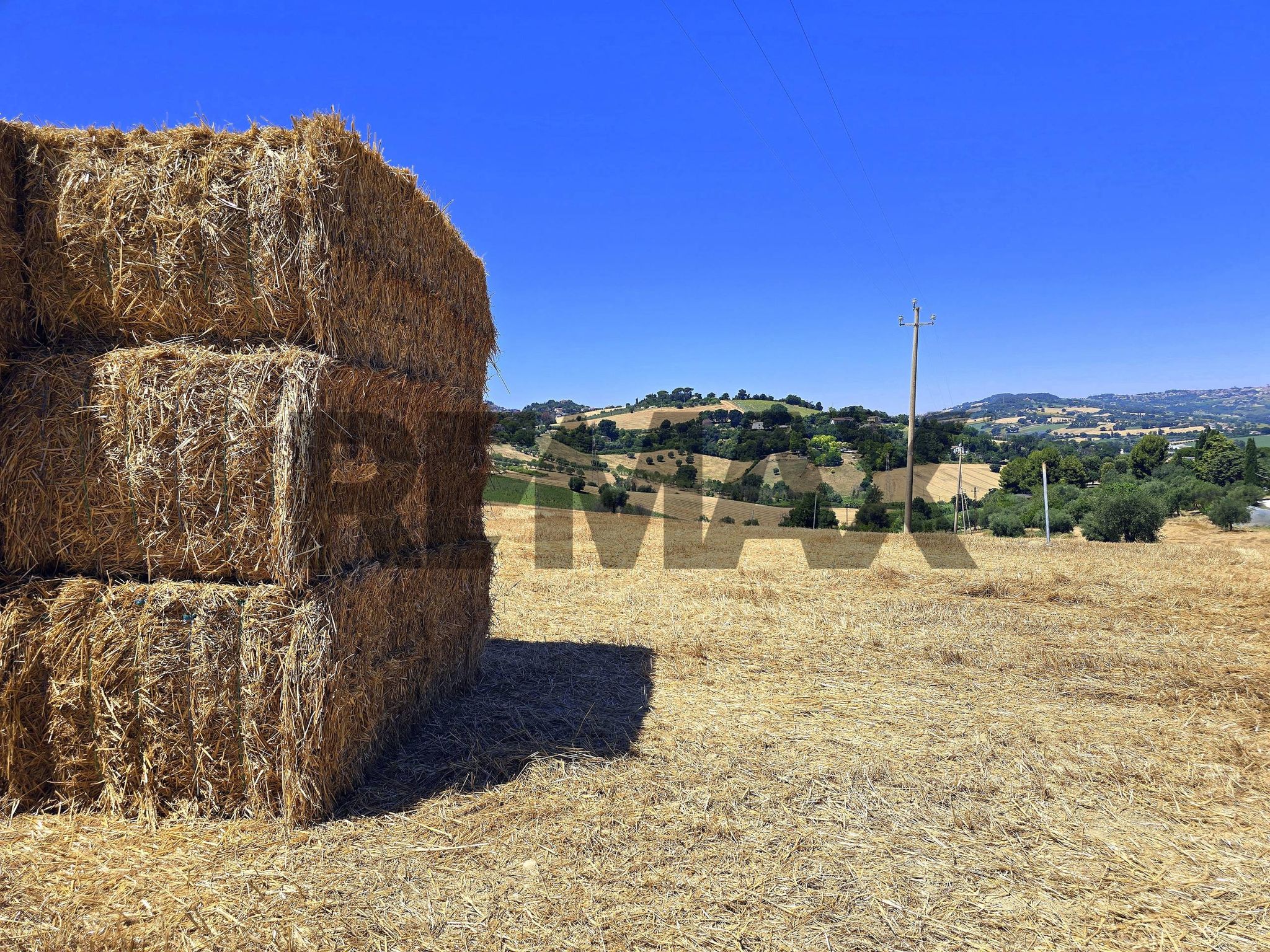 Property in Osimo