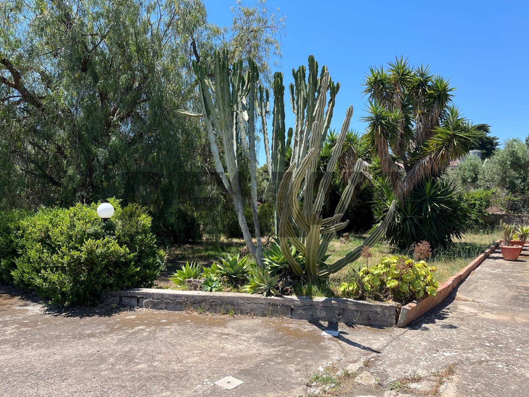Giardino
