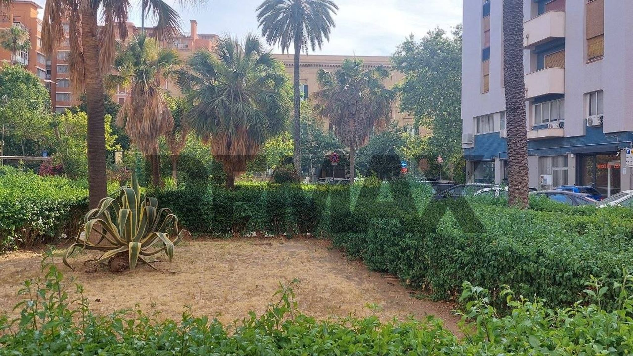 Giardino