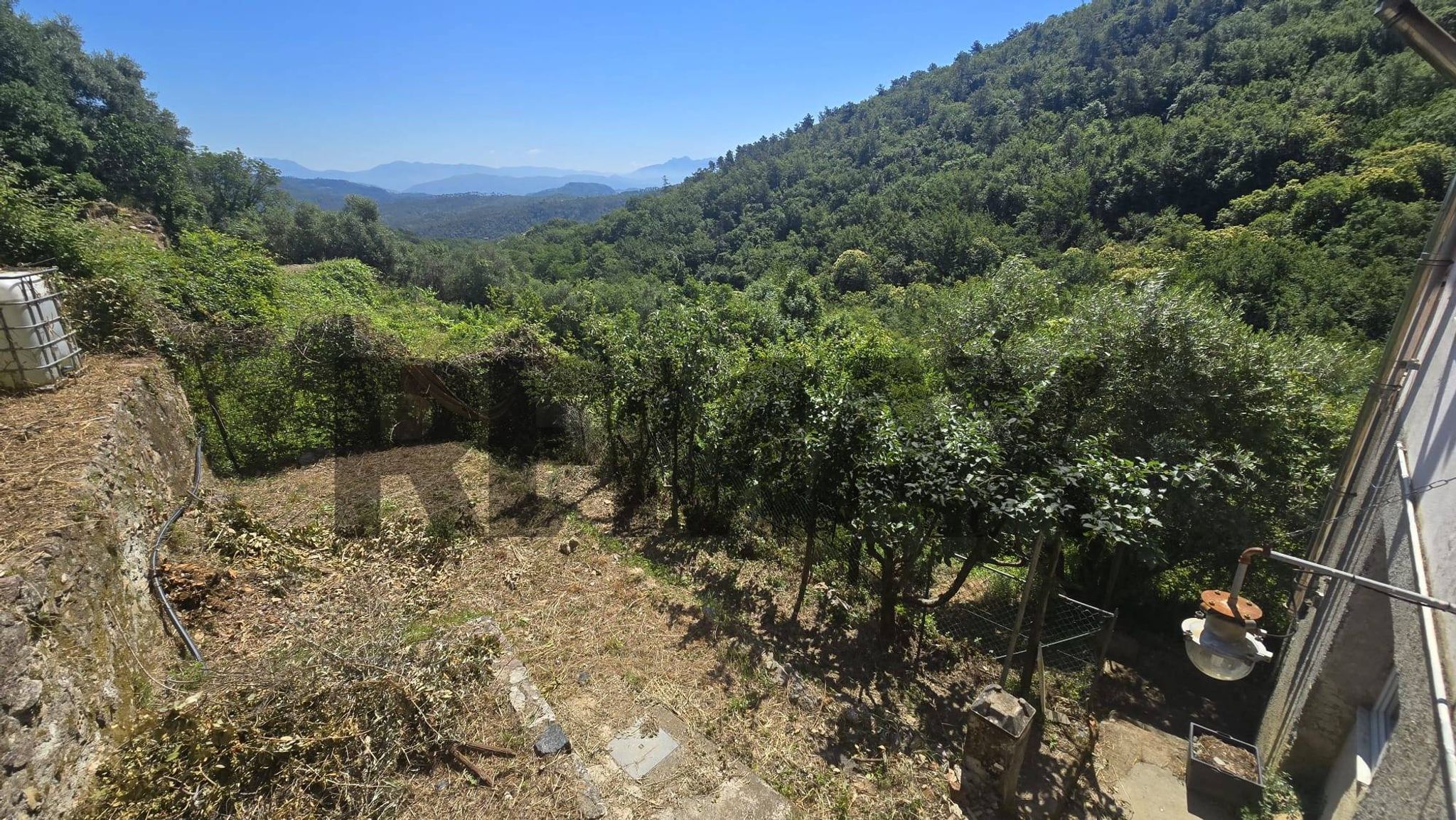 Vista delle montagne