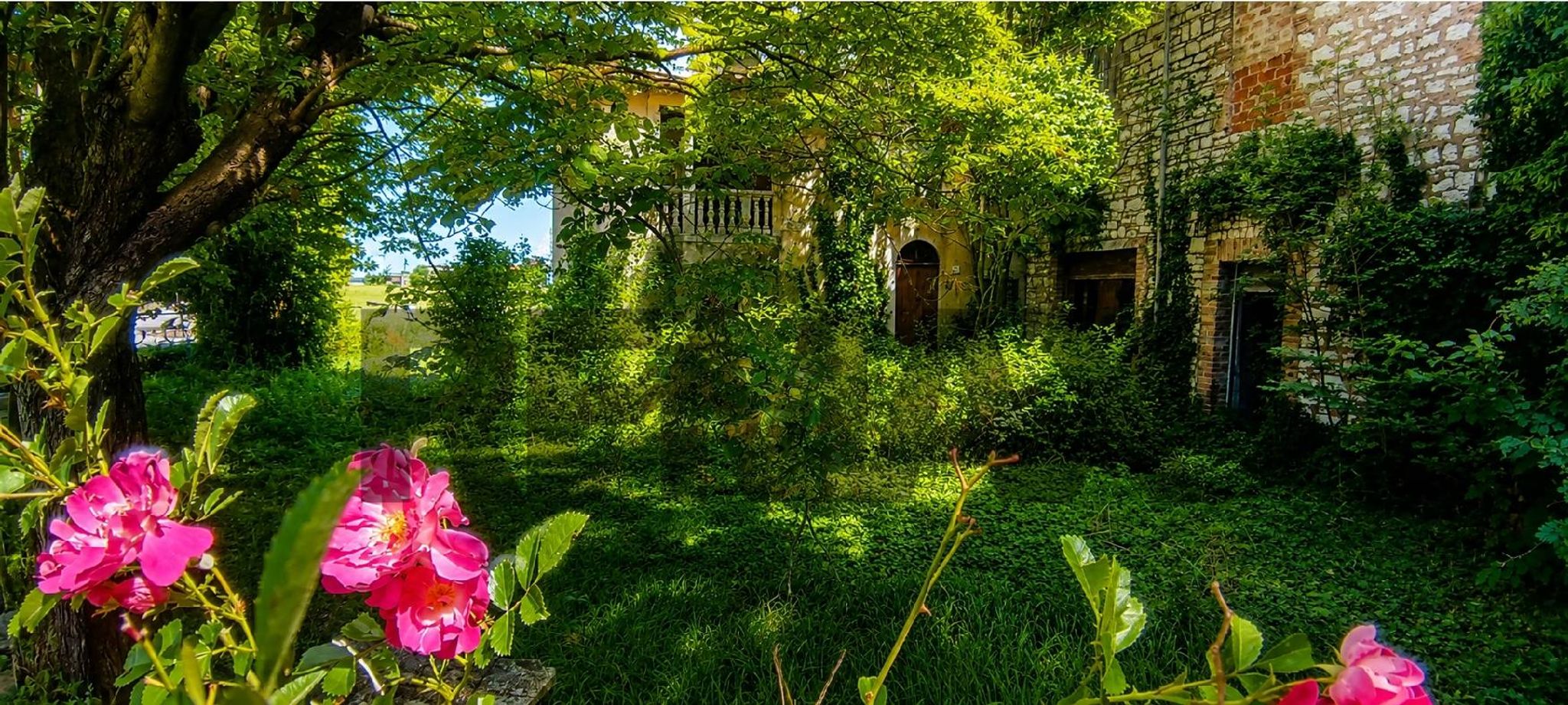 Giardino
