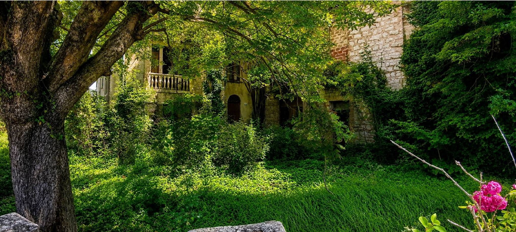 Giardino