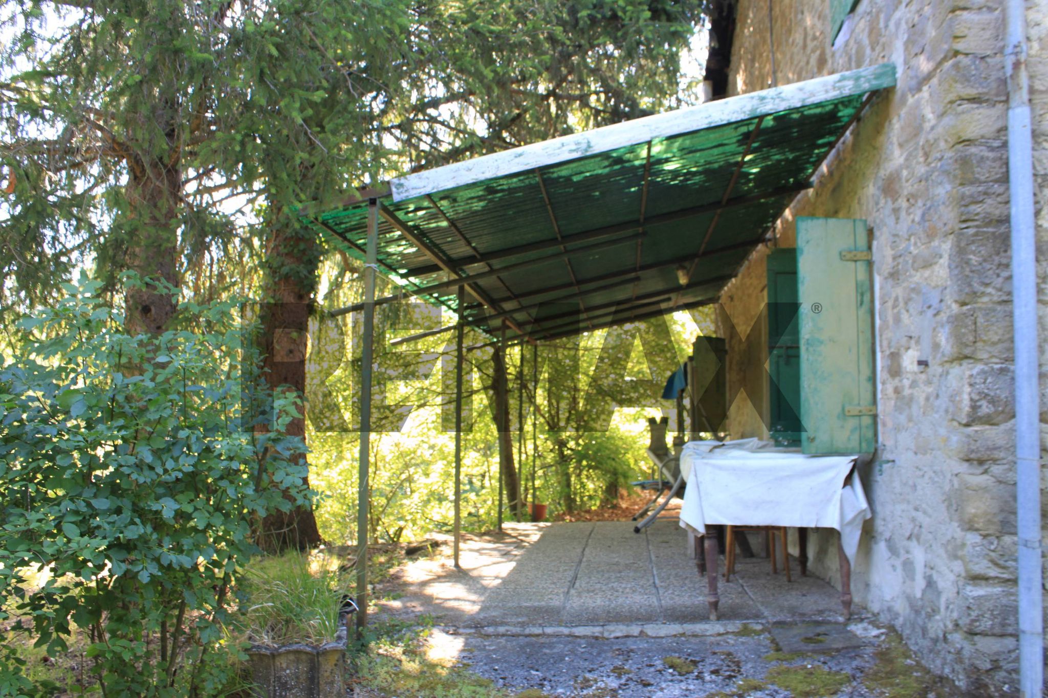 Giardino