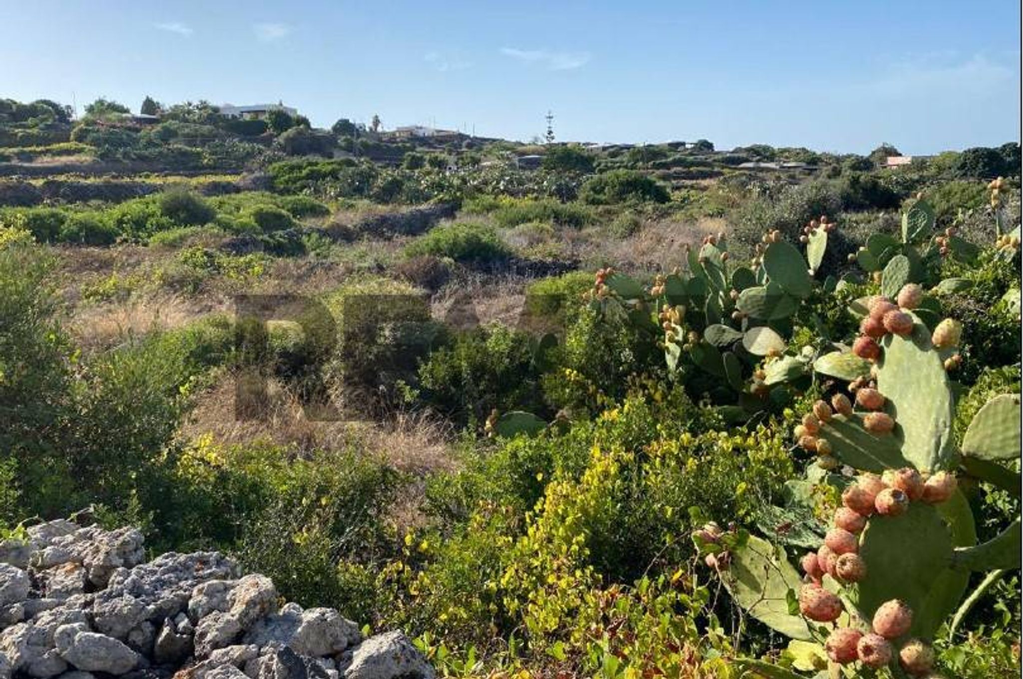 Immobile a Pantelleria