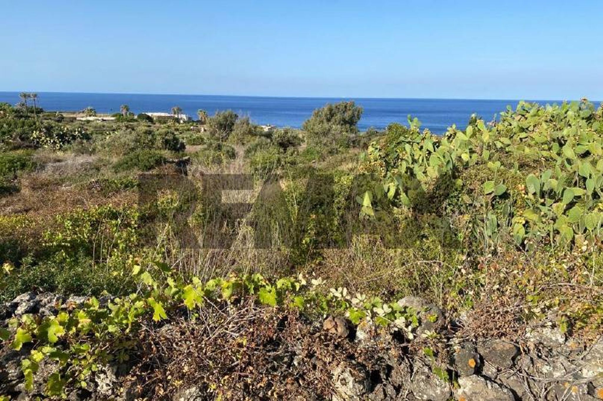 Vista dell'acqua