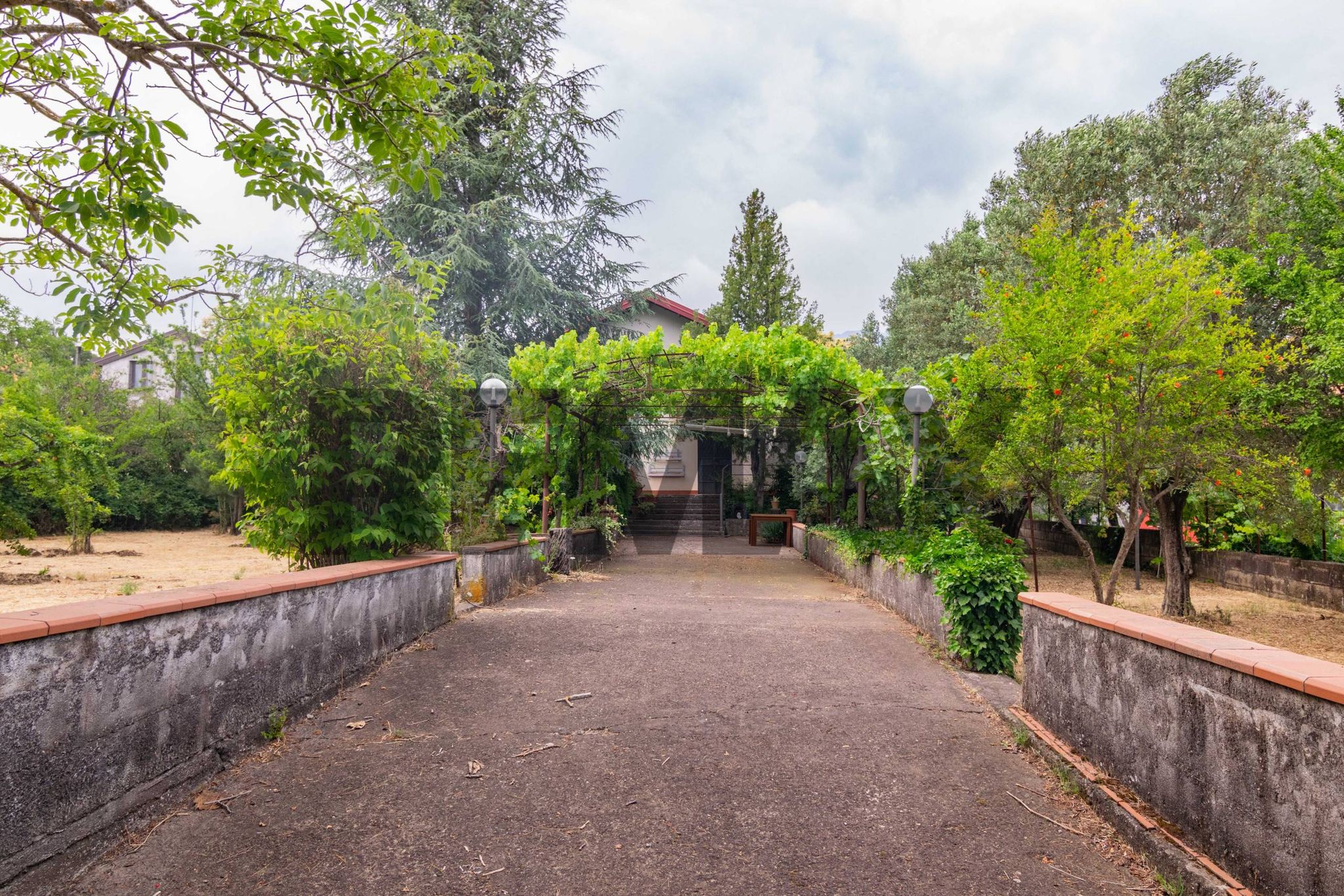Giardino